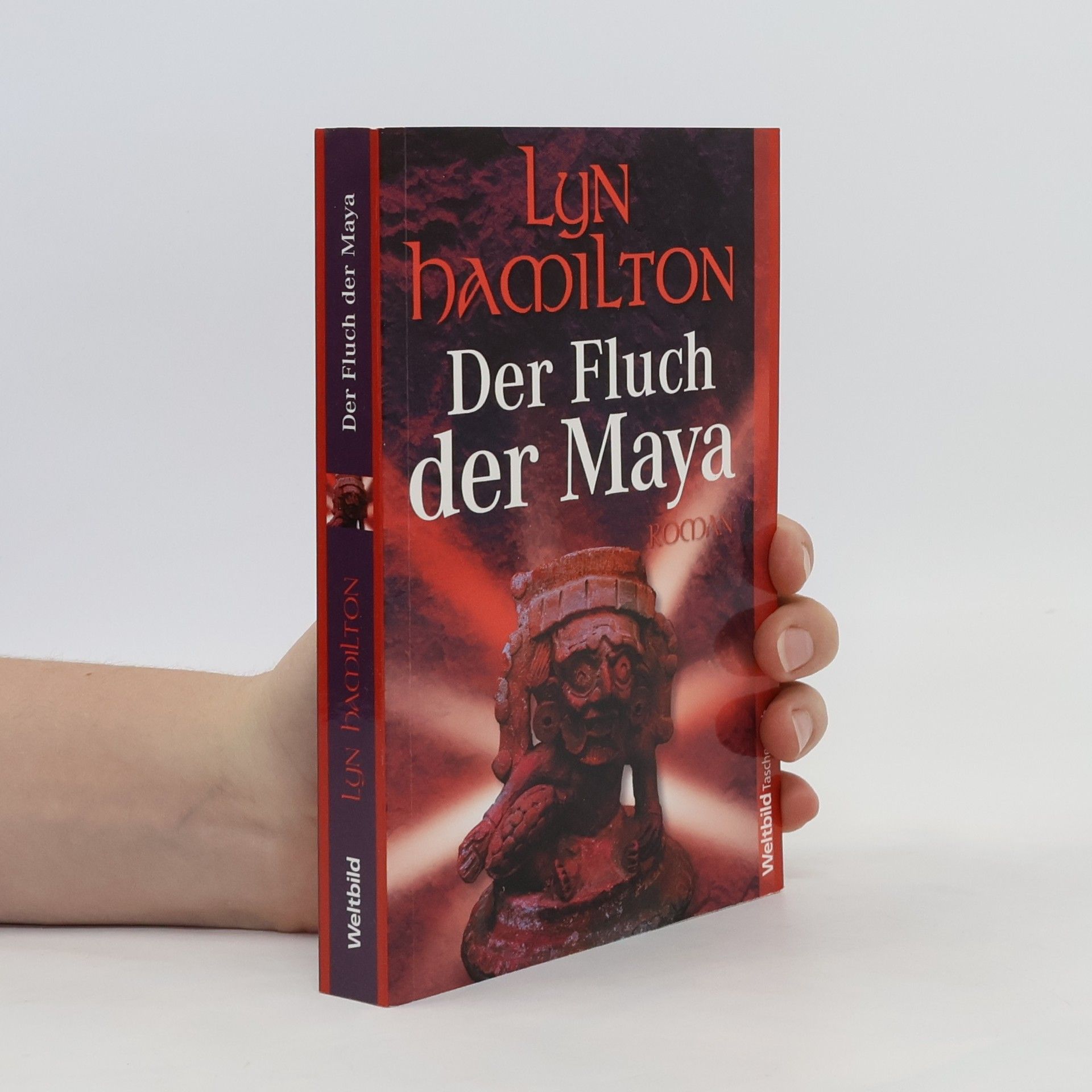 Lyn Hamilton Der Fluch der Maya
