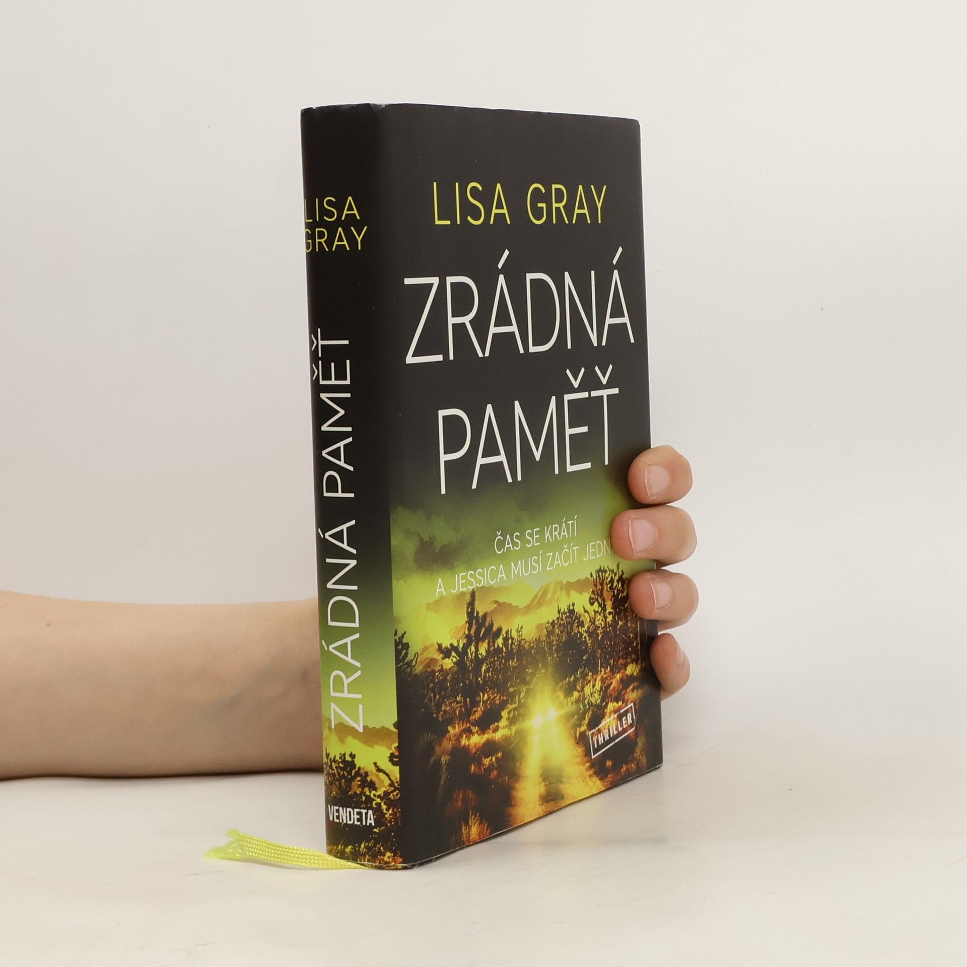 Lisa Gray Zrádná paměť
