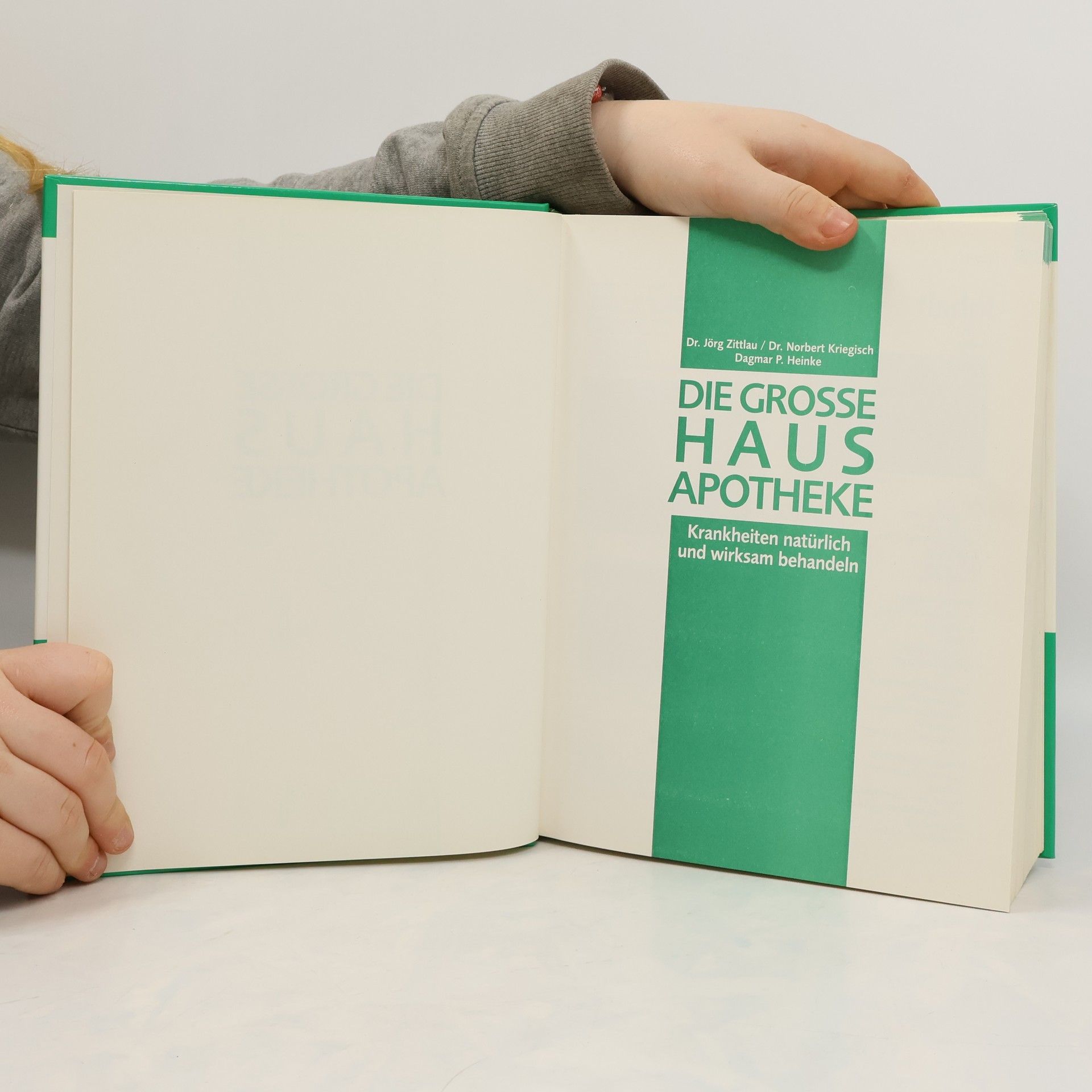 Autorenkollektiv Die grosse Hausapotheke