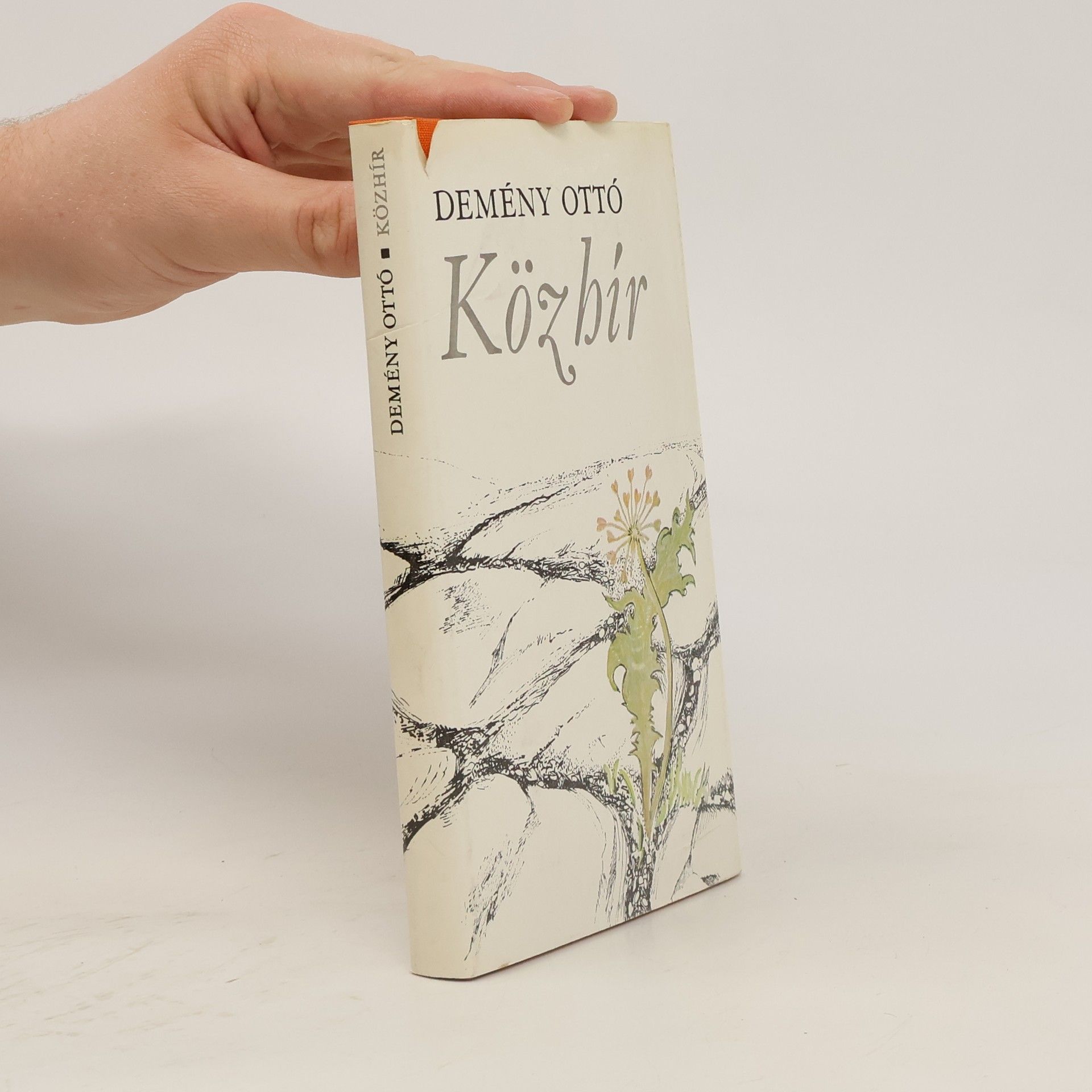 Demény Ottó Közbir