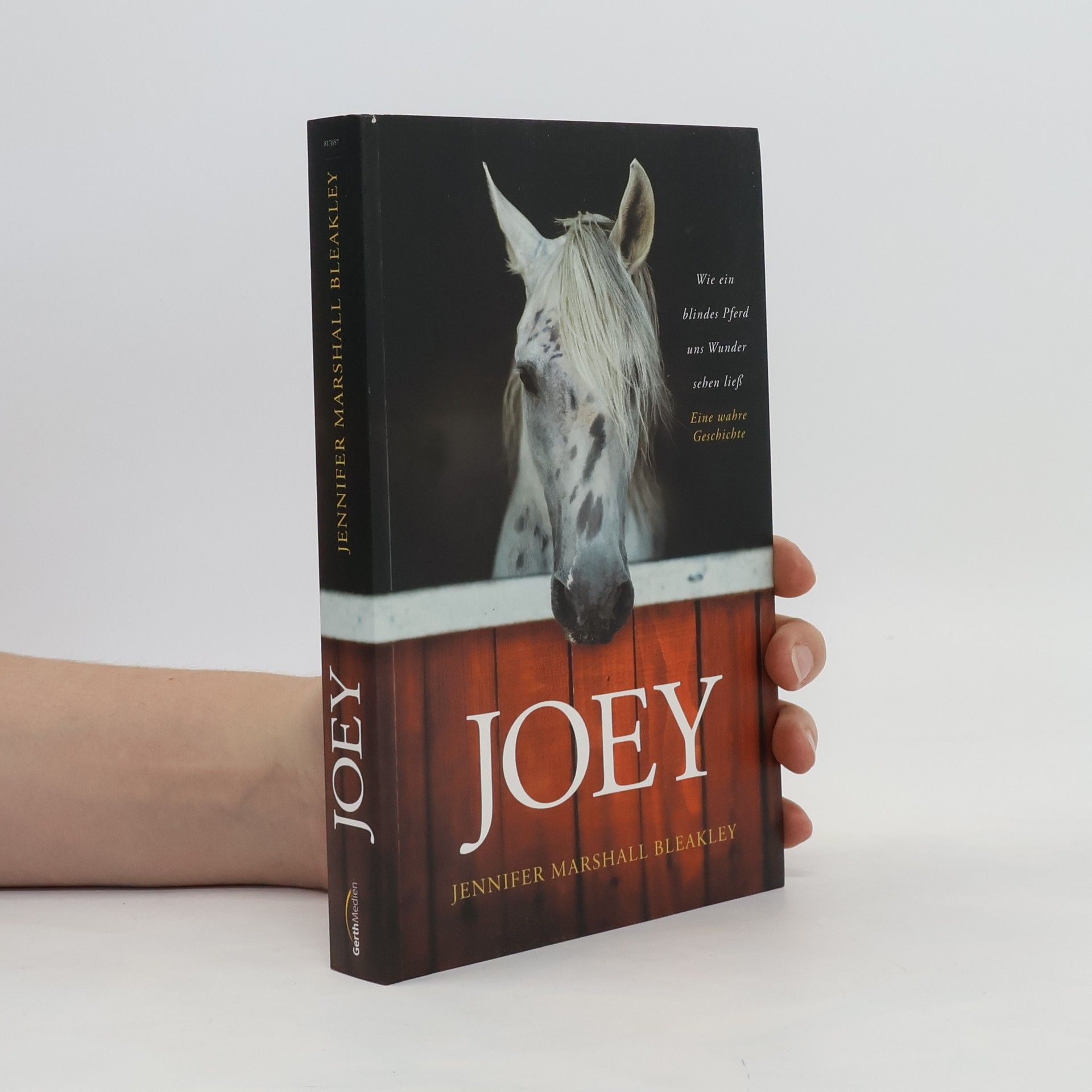Jennifer Marshall Bleakley Joey - Wie ein blindes Pferd uns Wunder sehen ließ