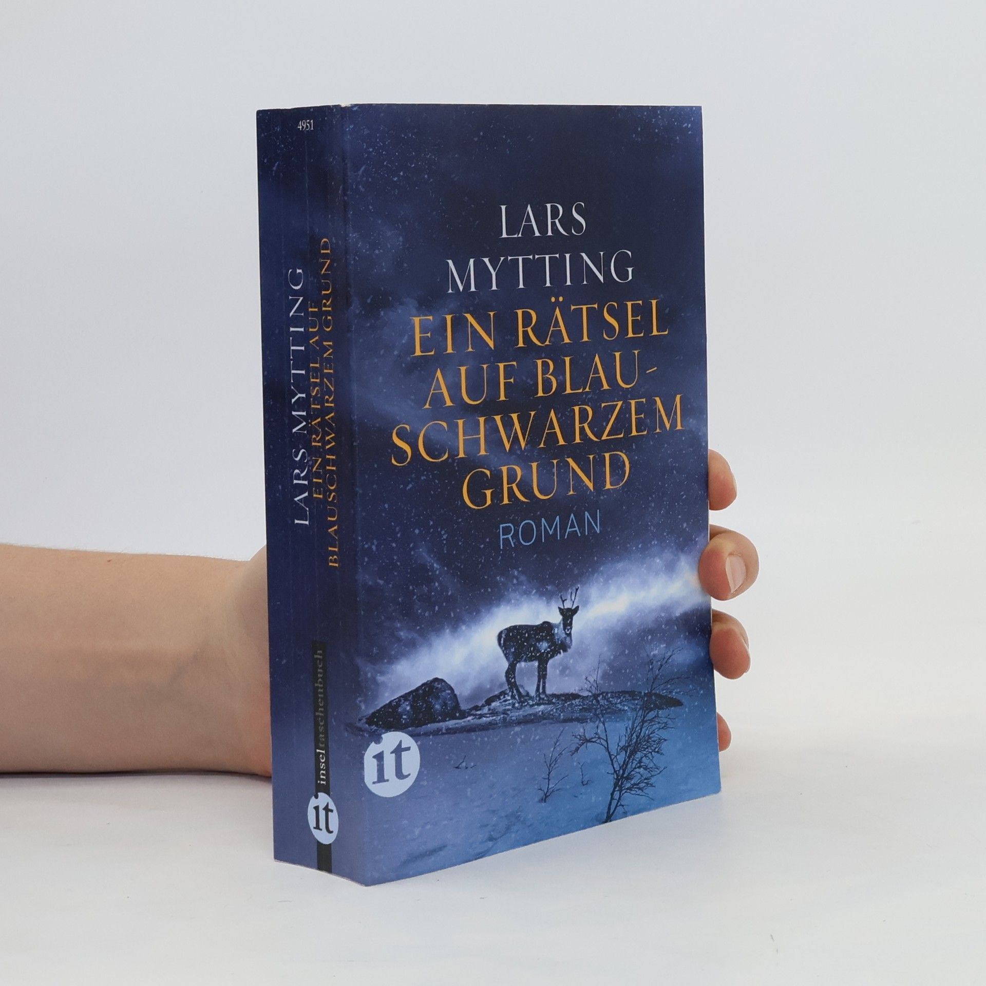 Lars Mytting Ein Rätsel auf blauschwarzem Grund