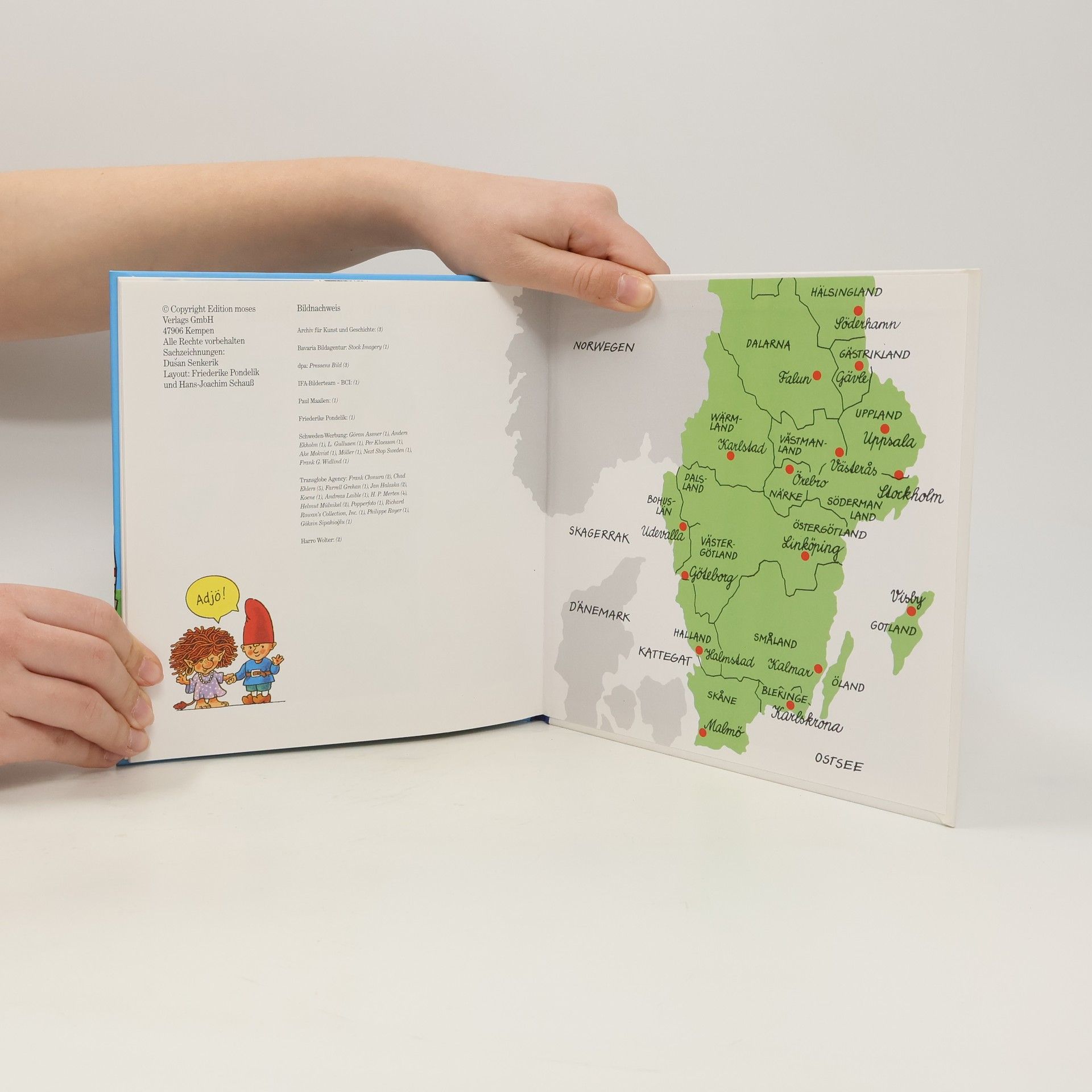 kolektiv Schweden zum Reingucken