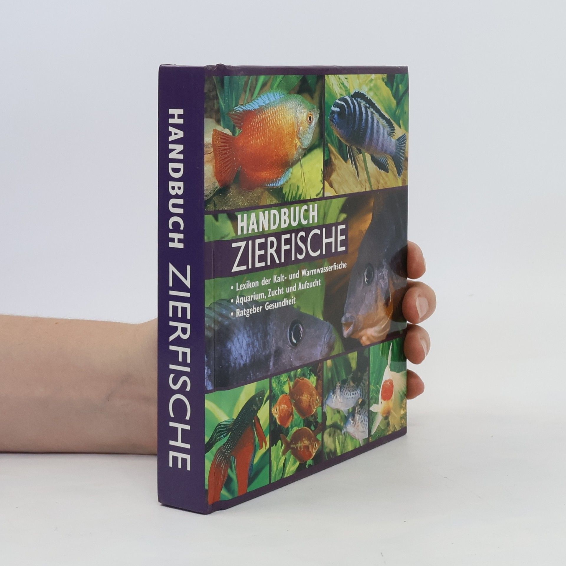 Kolektiv autorů Handbuch Zierfische