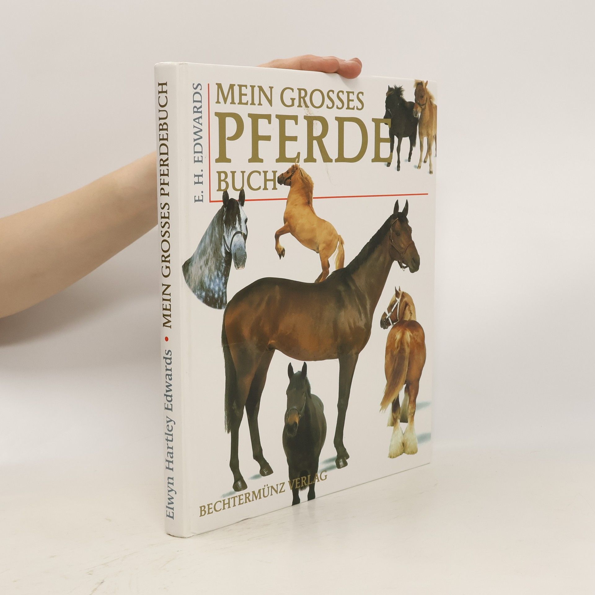E. H. Edwards Mein grosses Pferdebuch