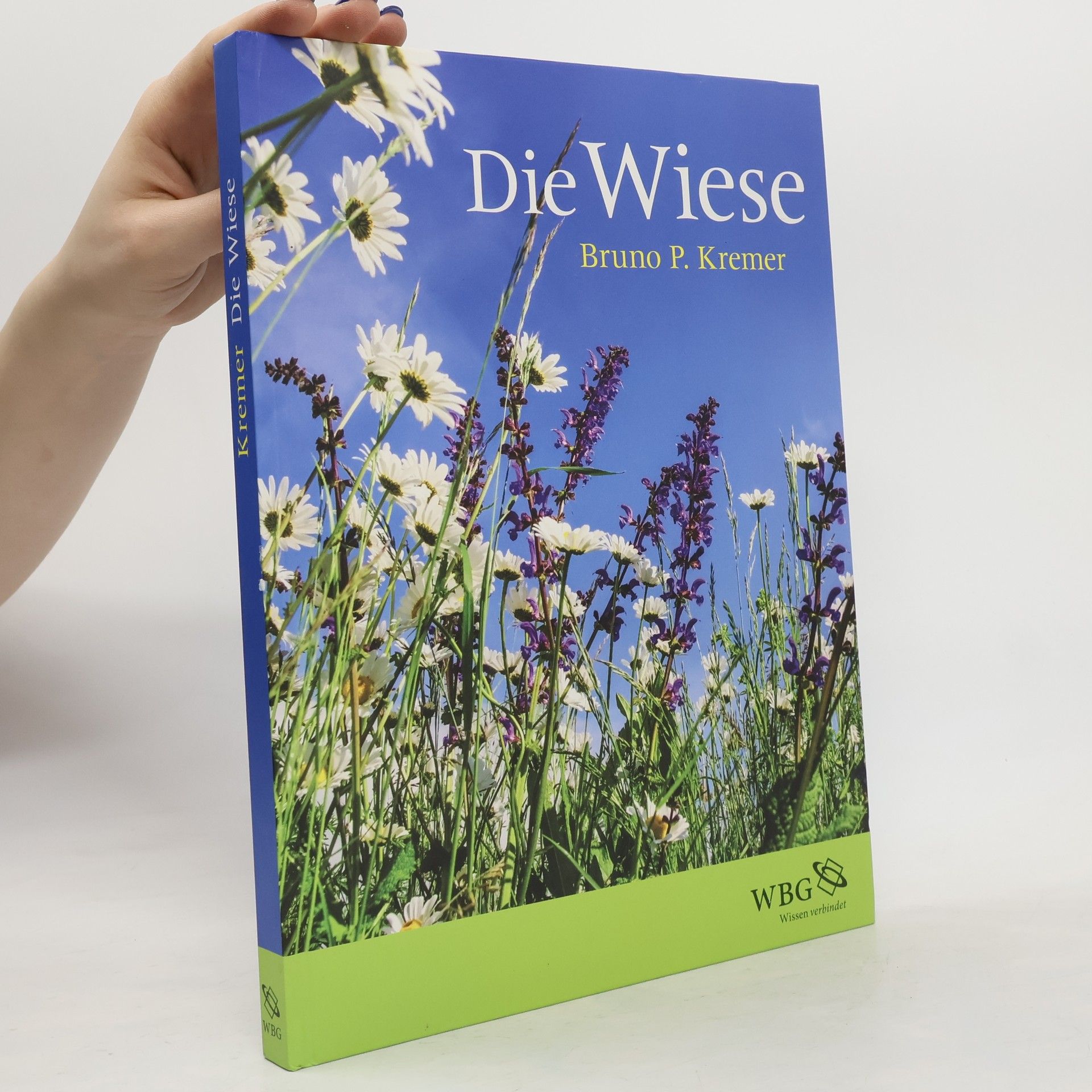 Bruno Kremer Die Wiese