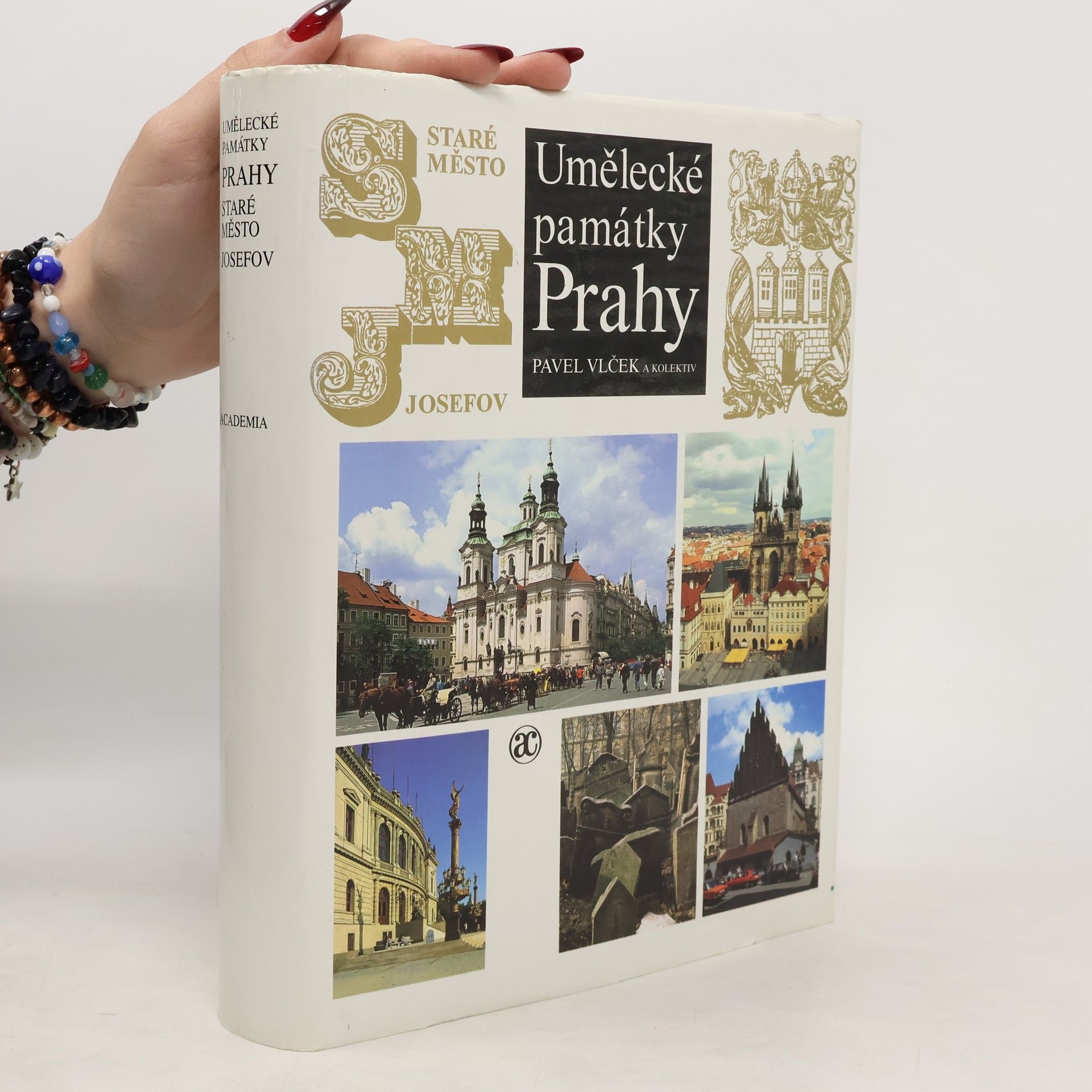 Pavel Vlček Umělecké památky Prahy. Staré město - Josefov.