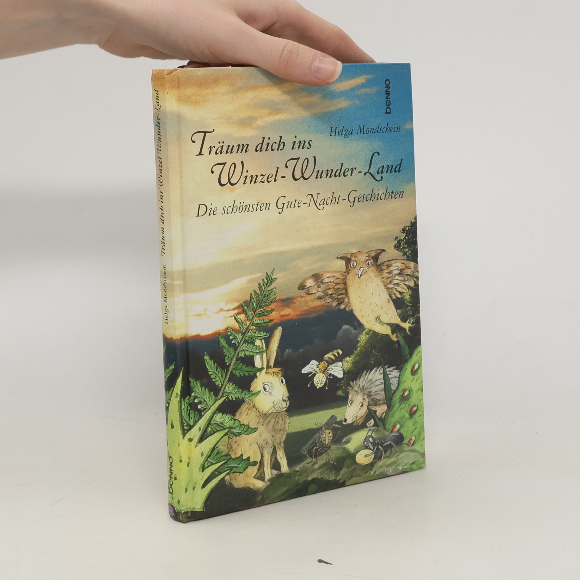 Helga Mondschein Träum dich ins Winzel-Wunder-Land
