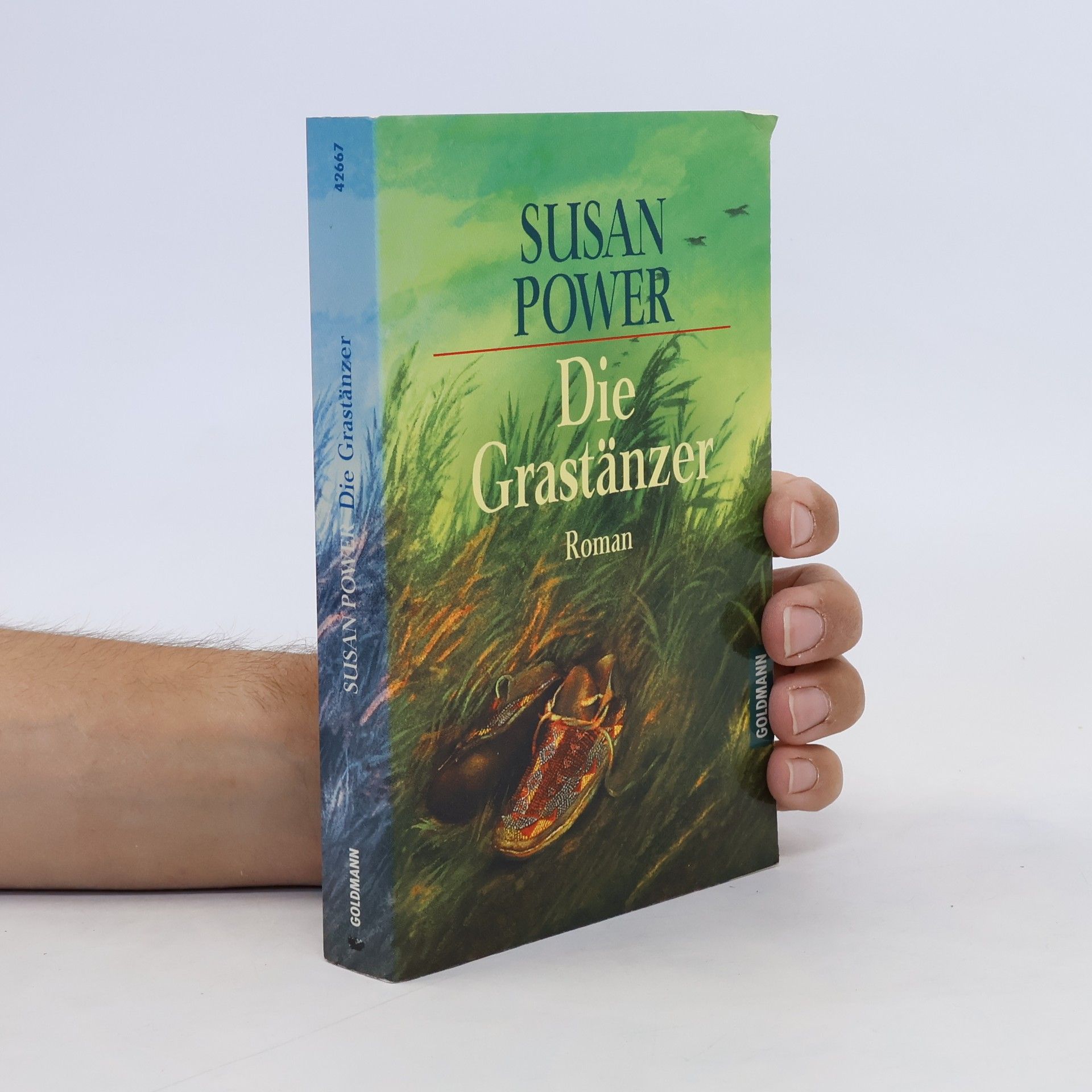 Susan Power Die Grastänzer