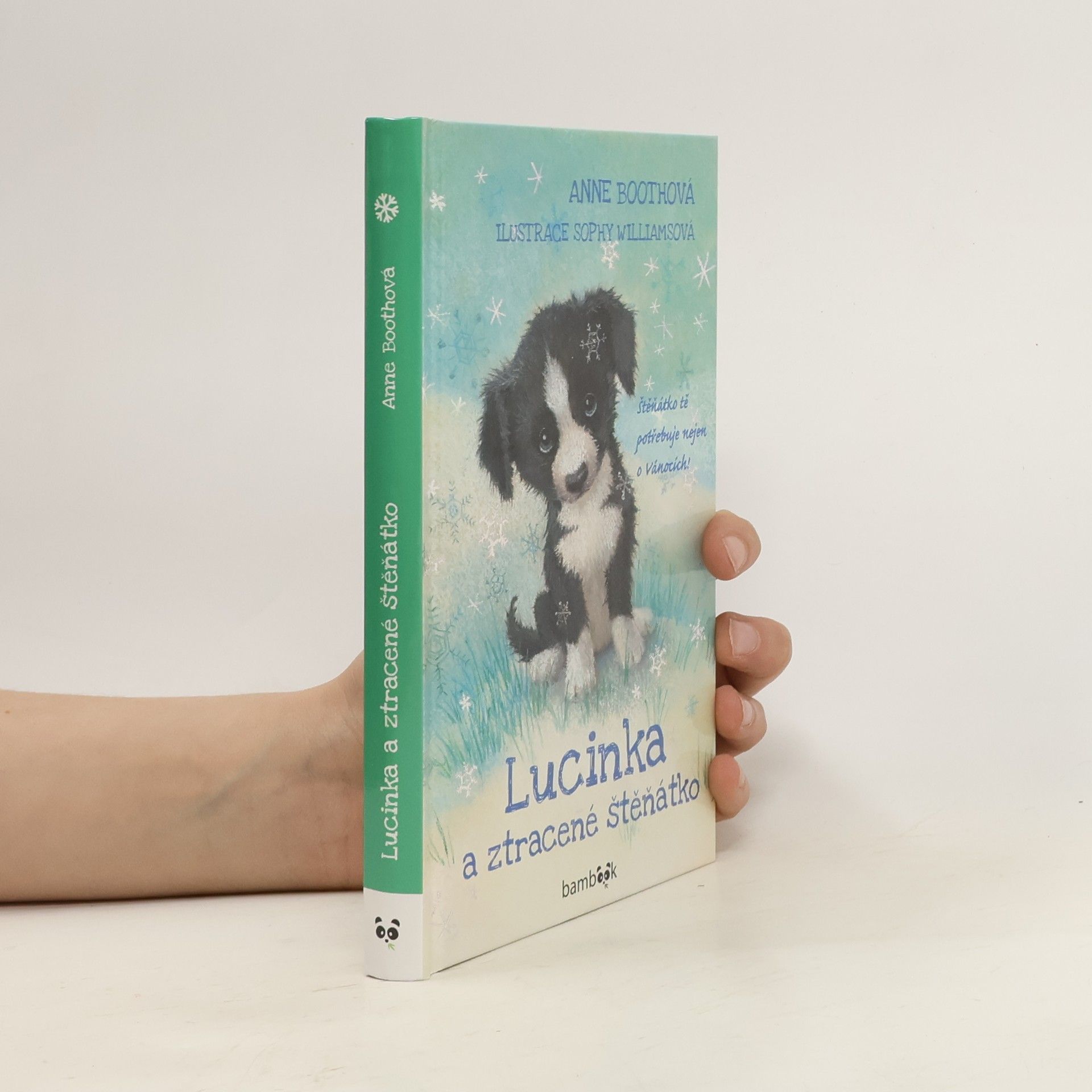 Anne Booth Lucinka a ztracené štěňátko