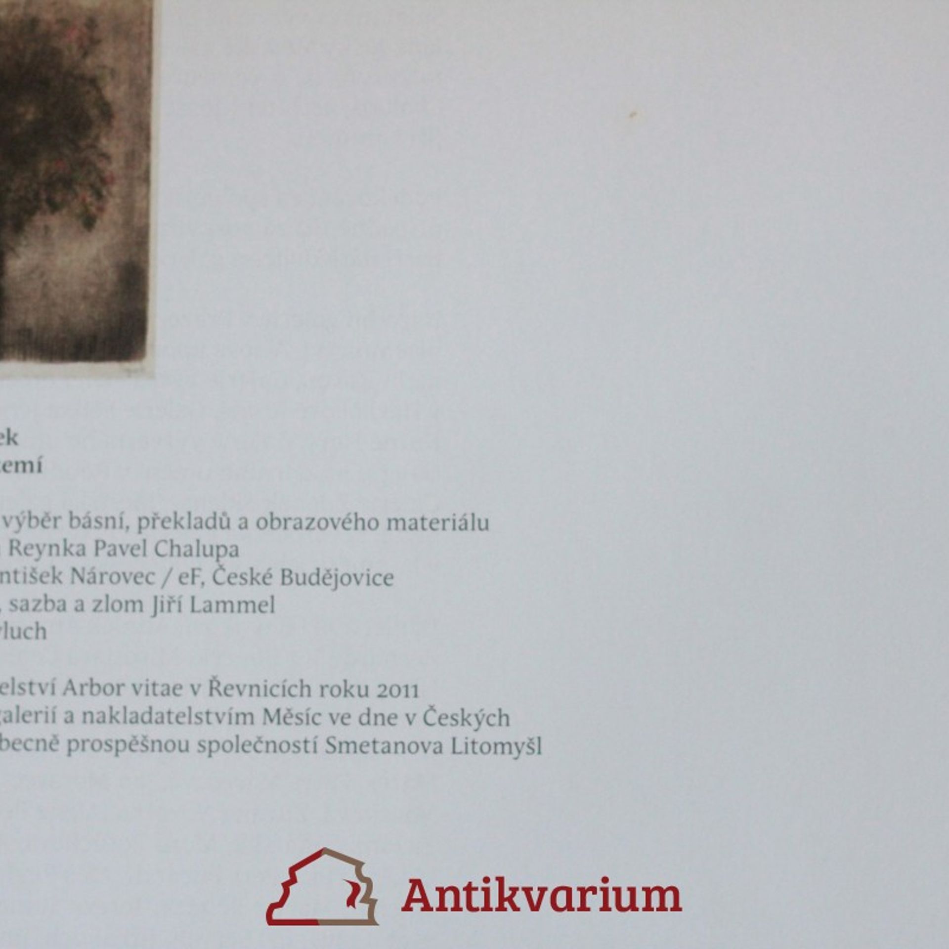 Pavel Chalupa Bohuslav Reynek : mezi nebem a zemí