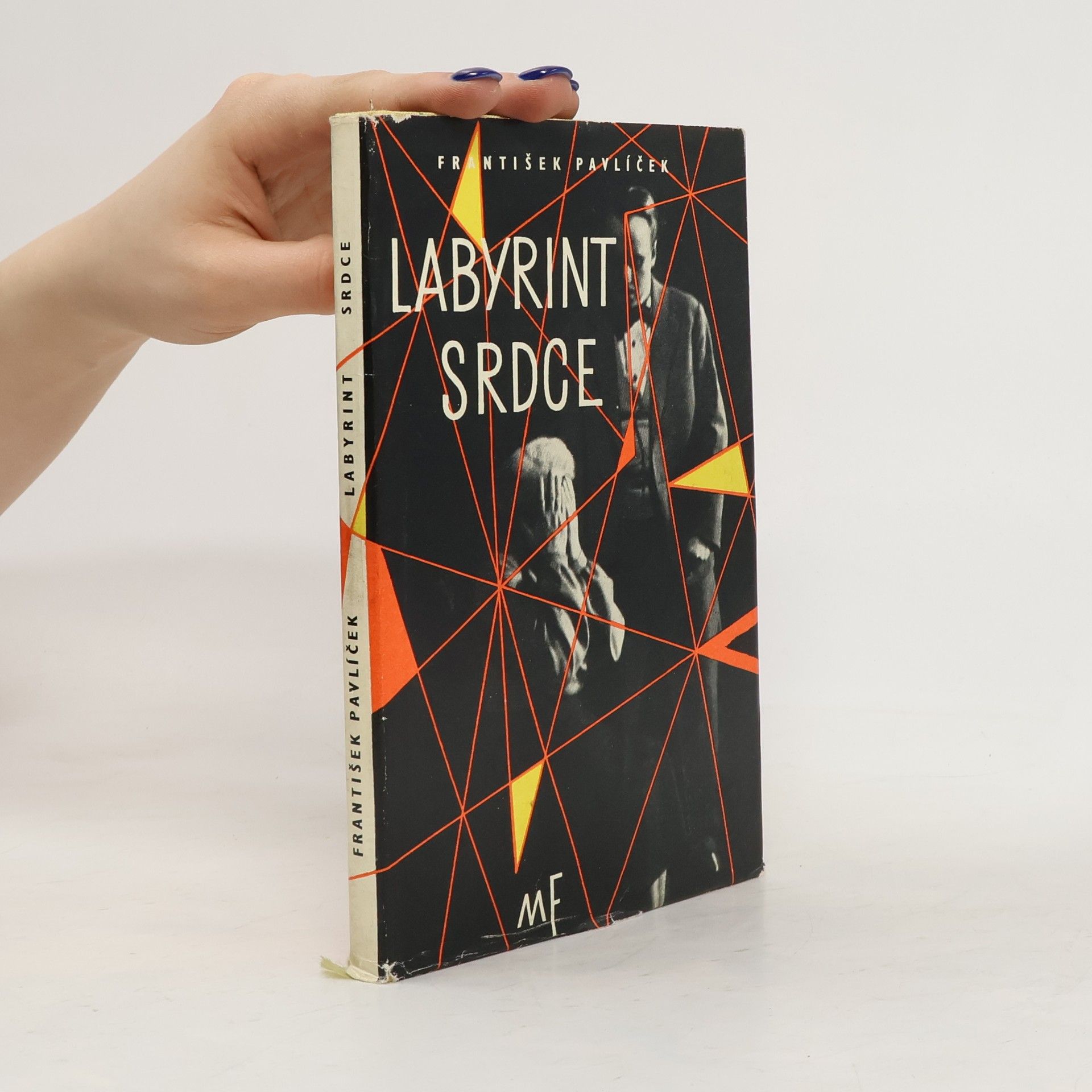 František Pavlíček Labyrint srdce