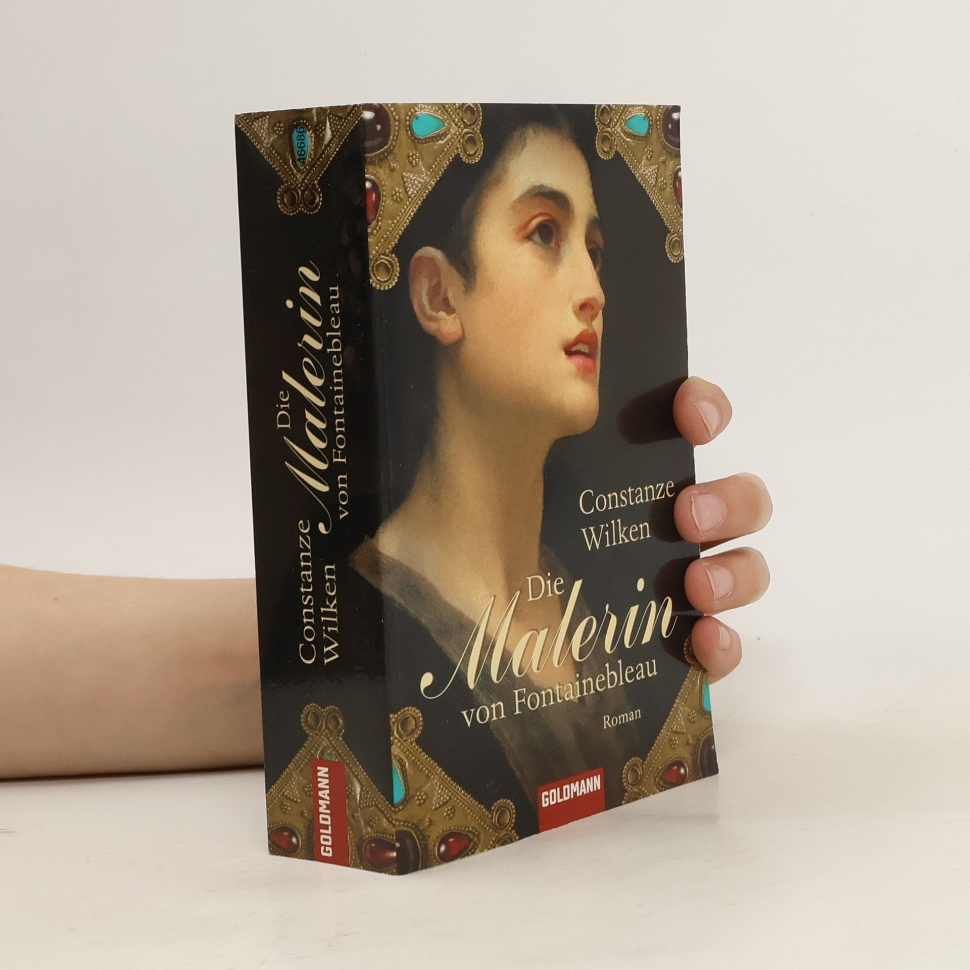 Constanze Wilken Die Malerin von Fontainebleau