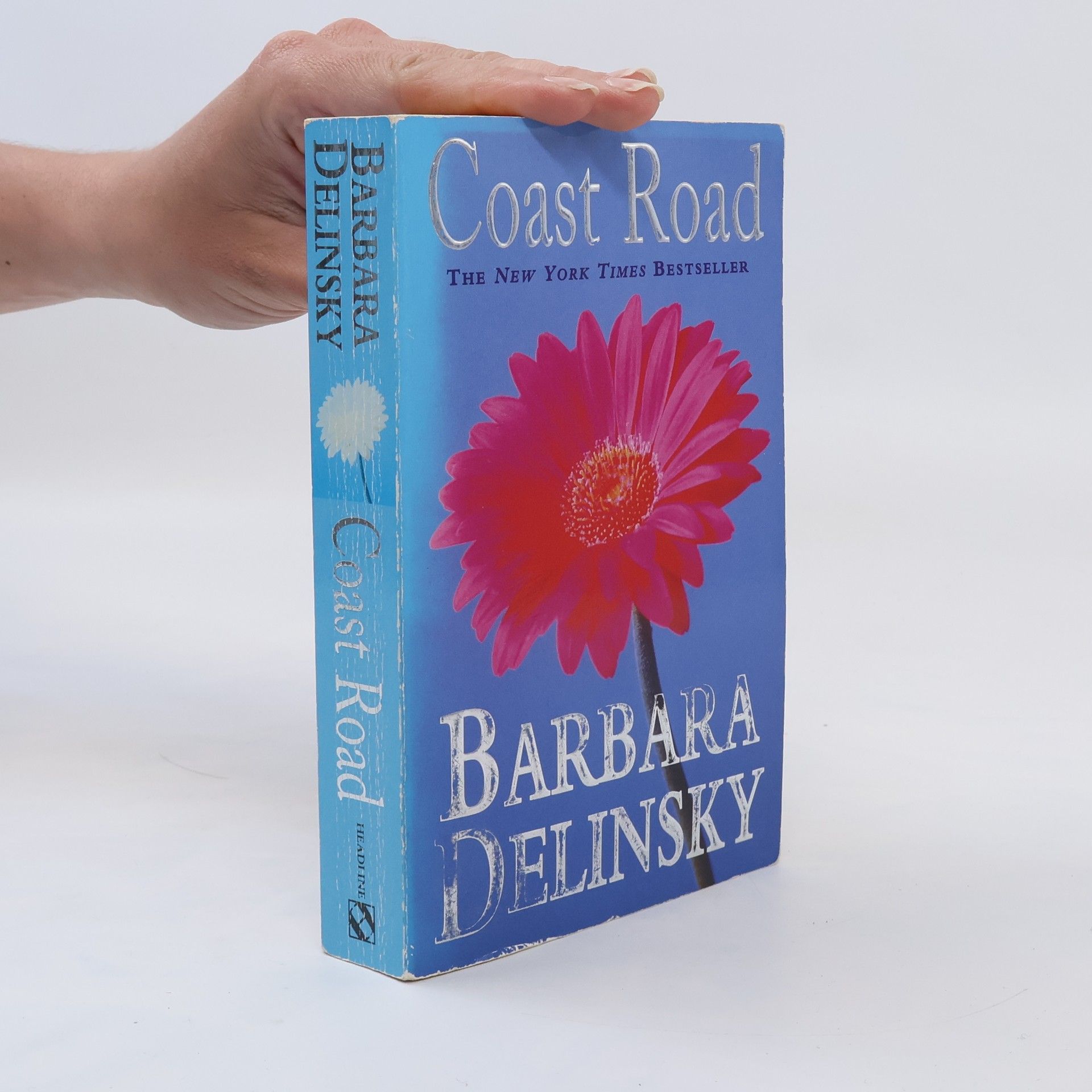 Barbara Delinsky Coast Road