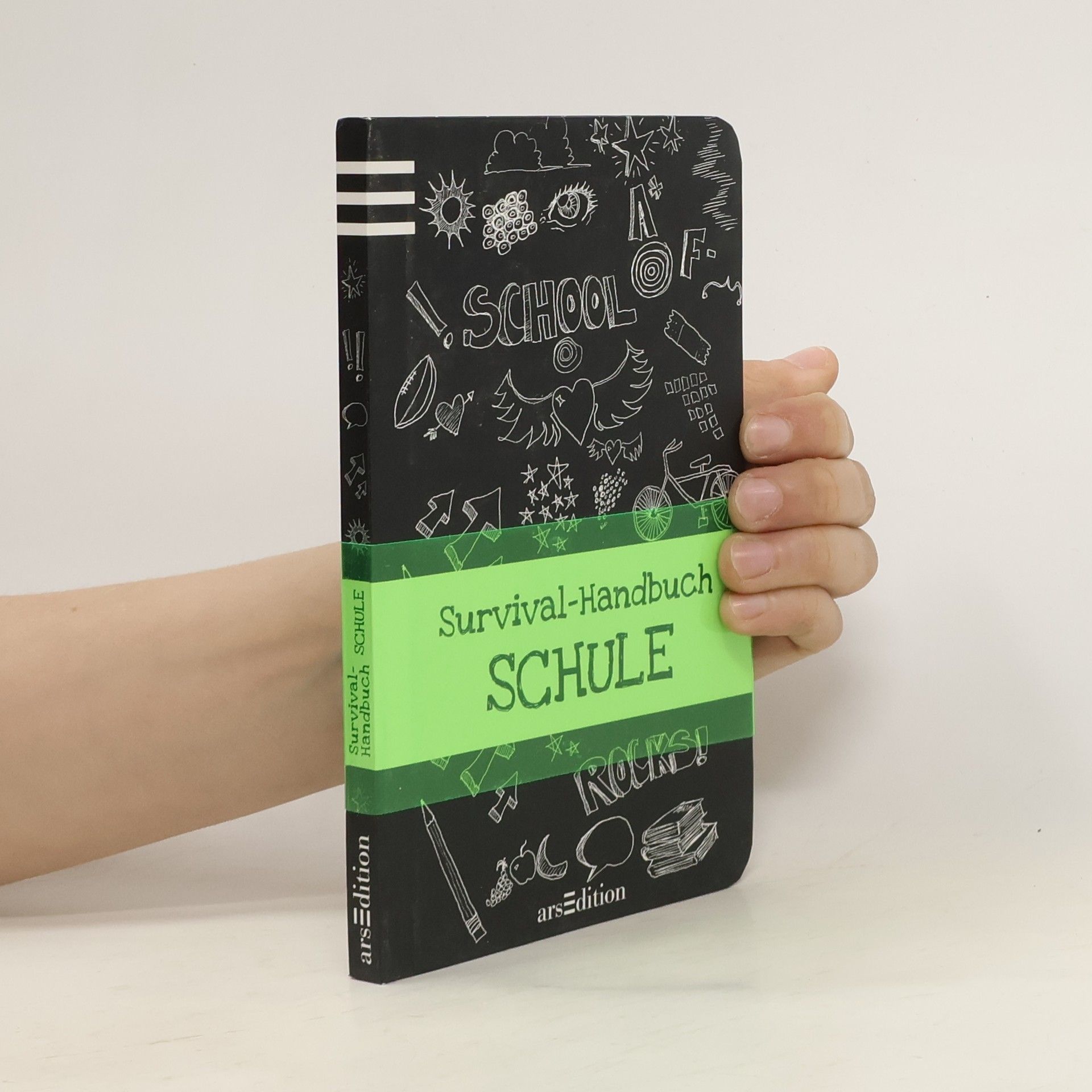Anita van Saan Survival-Handbuch Schule