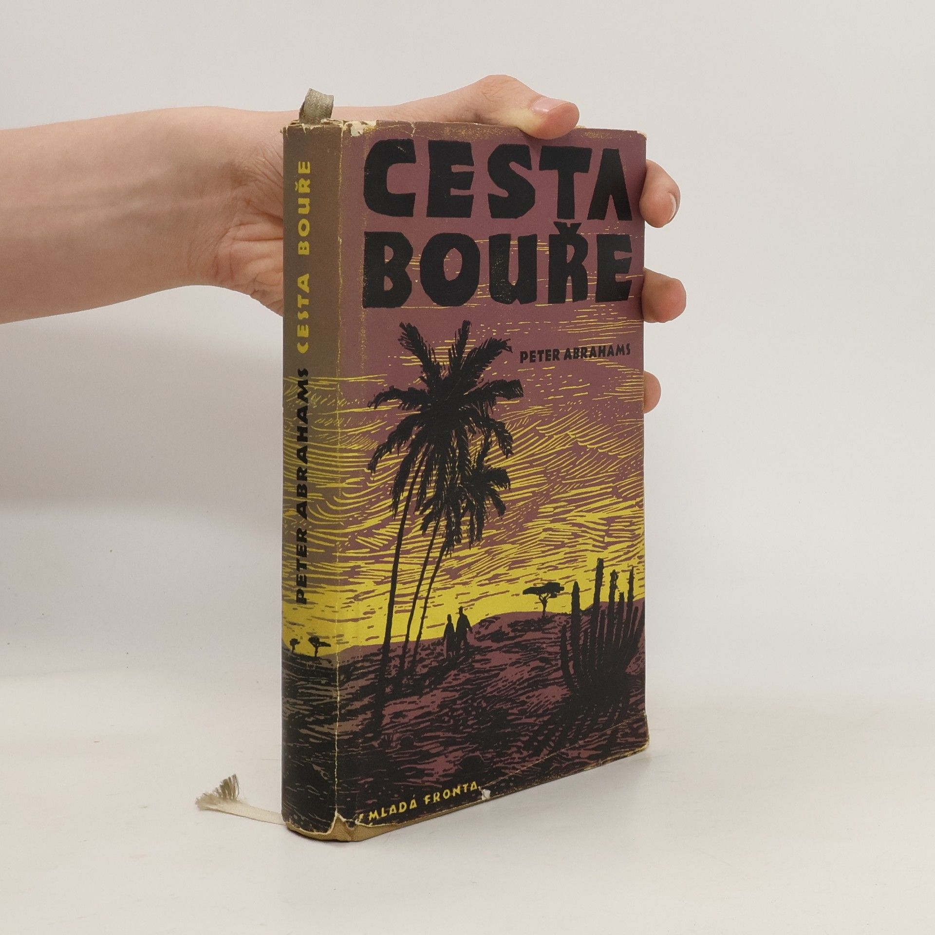 Peter Abrahams Cesta bouře