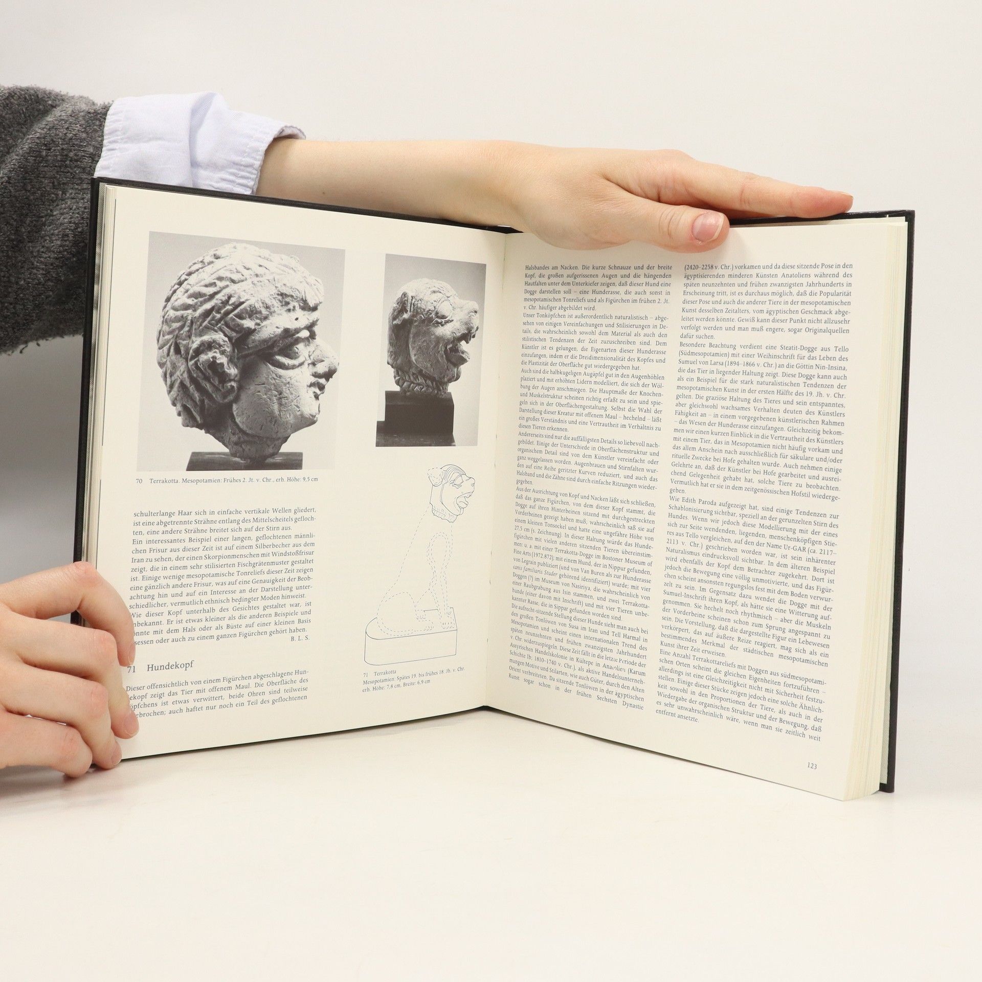kolektiv Länder Der Bibel