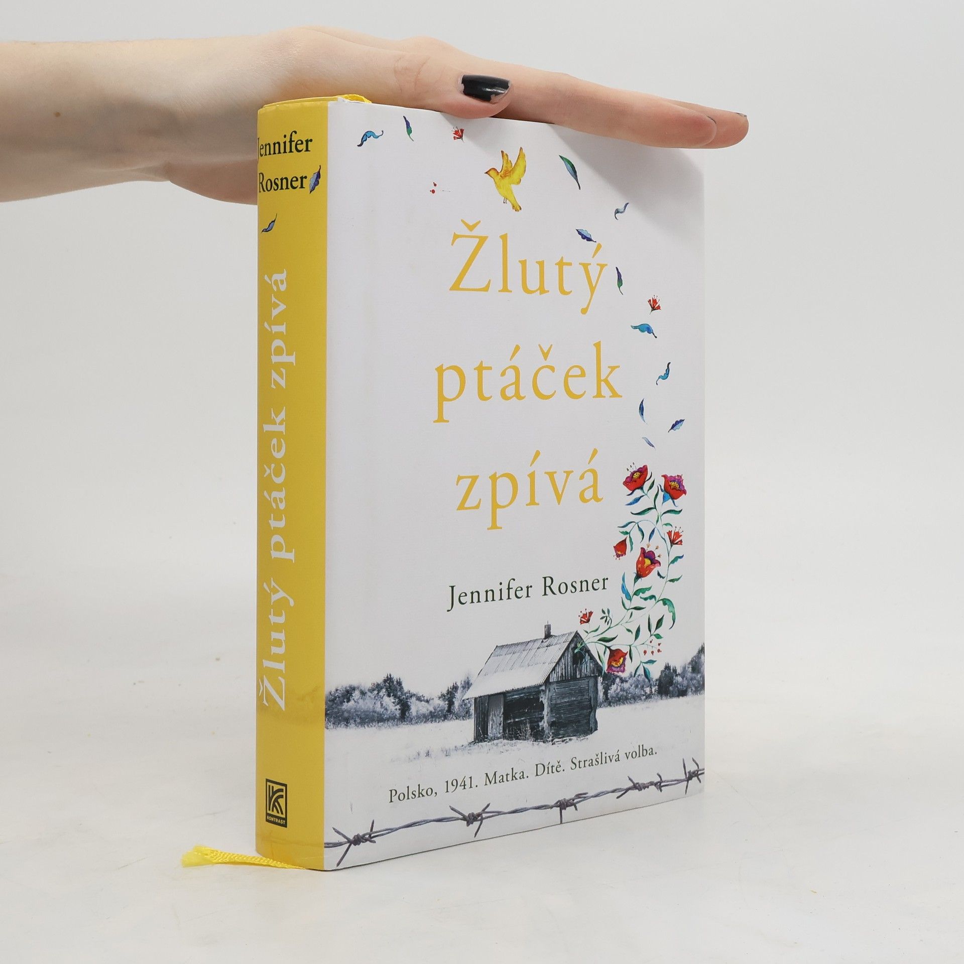 Jennifer Rosner Žlutý ptáček zpívá