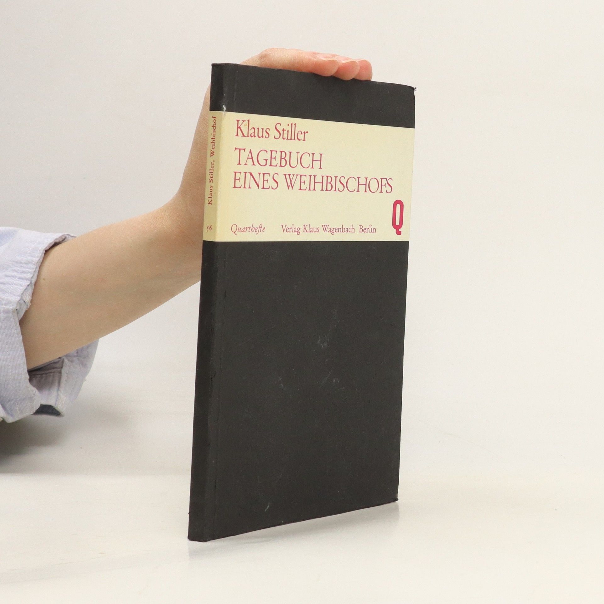 Klaus Stiller Tagebuch eines Weihbischofs