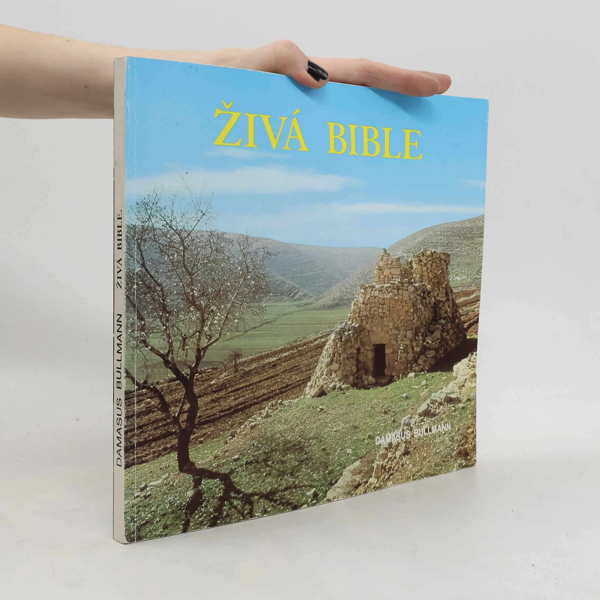 Damasus Bullman Živá bible
