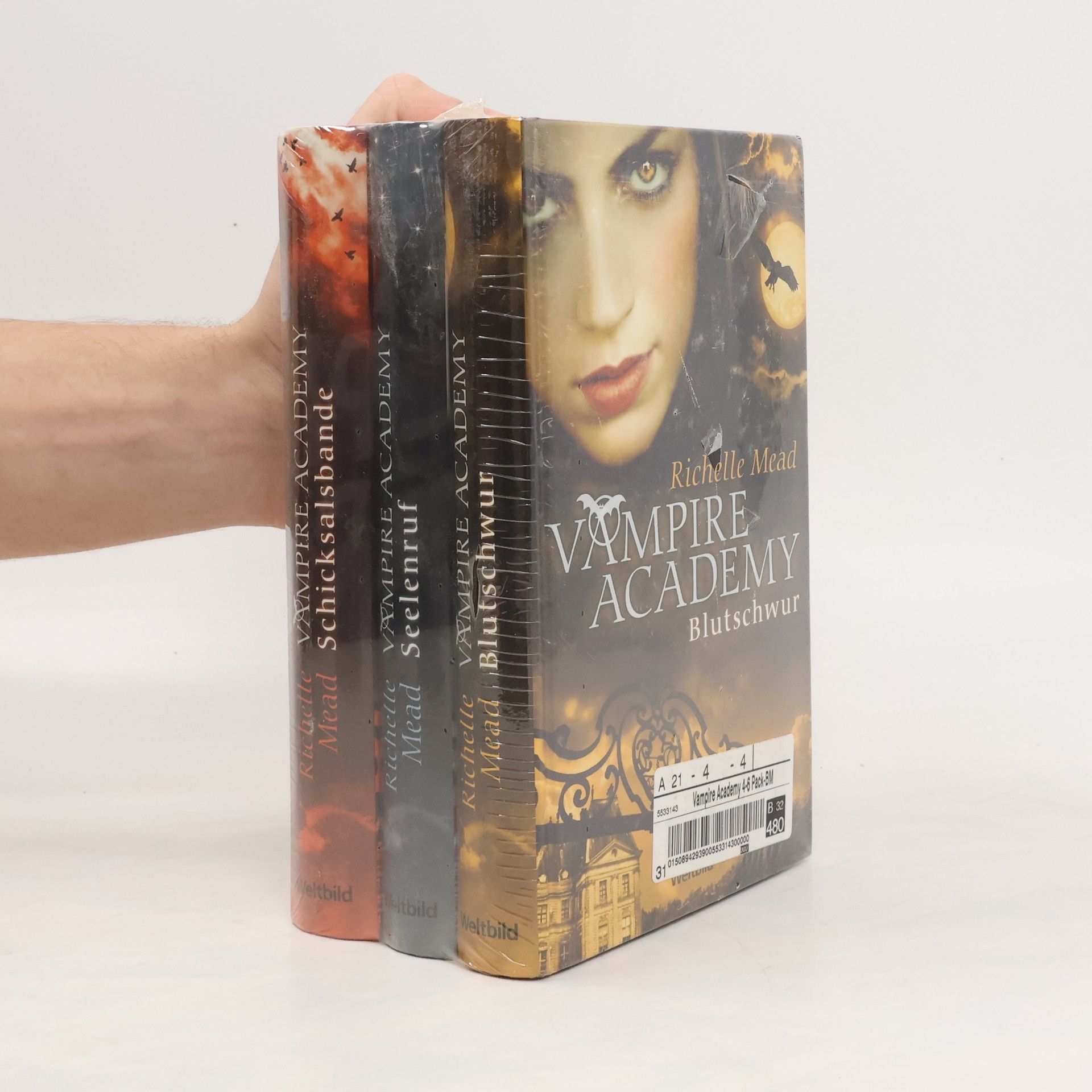 Richelle Mead Vampire Academy 1-3