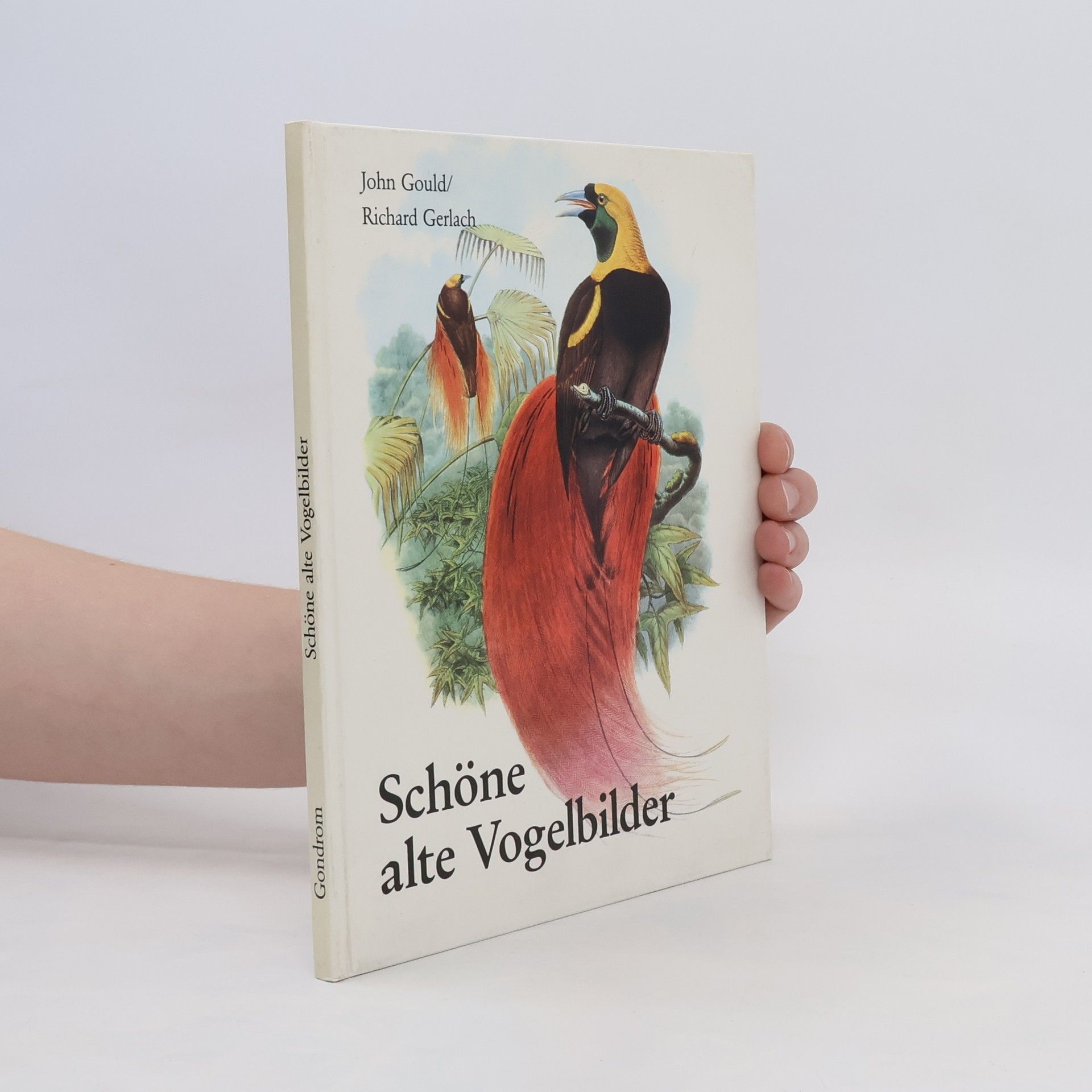 John Gould Schone alte Vogelbilder