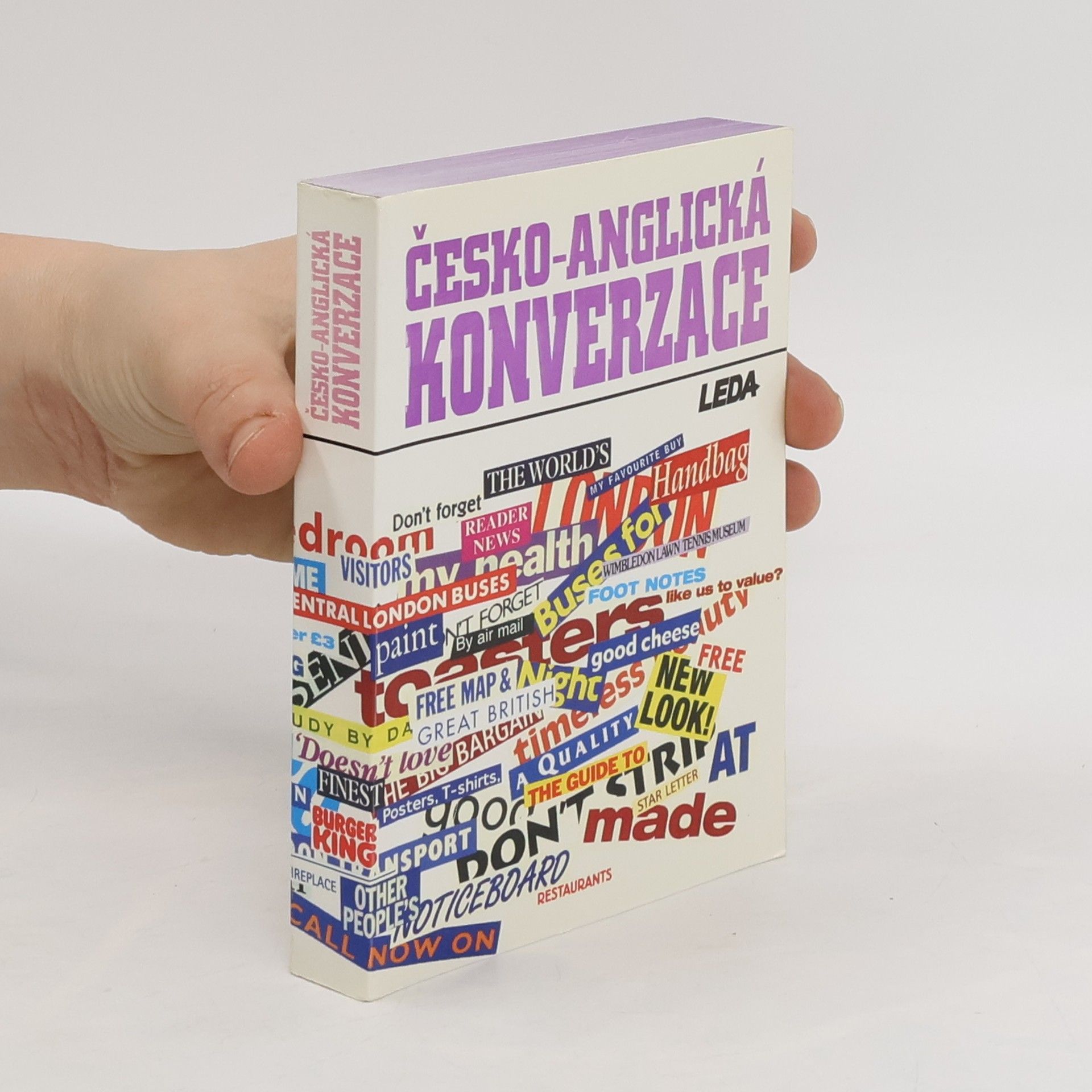 Ludmila Kollmannova Česko-anglická konverzace