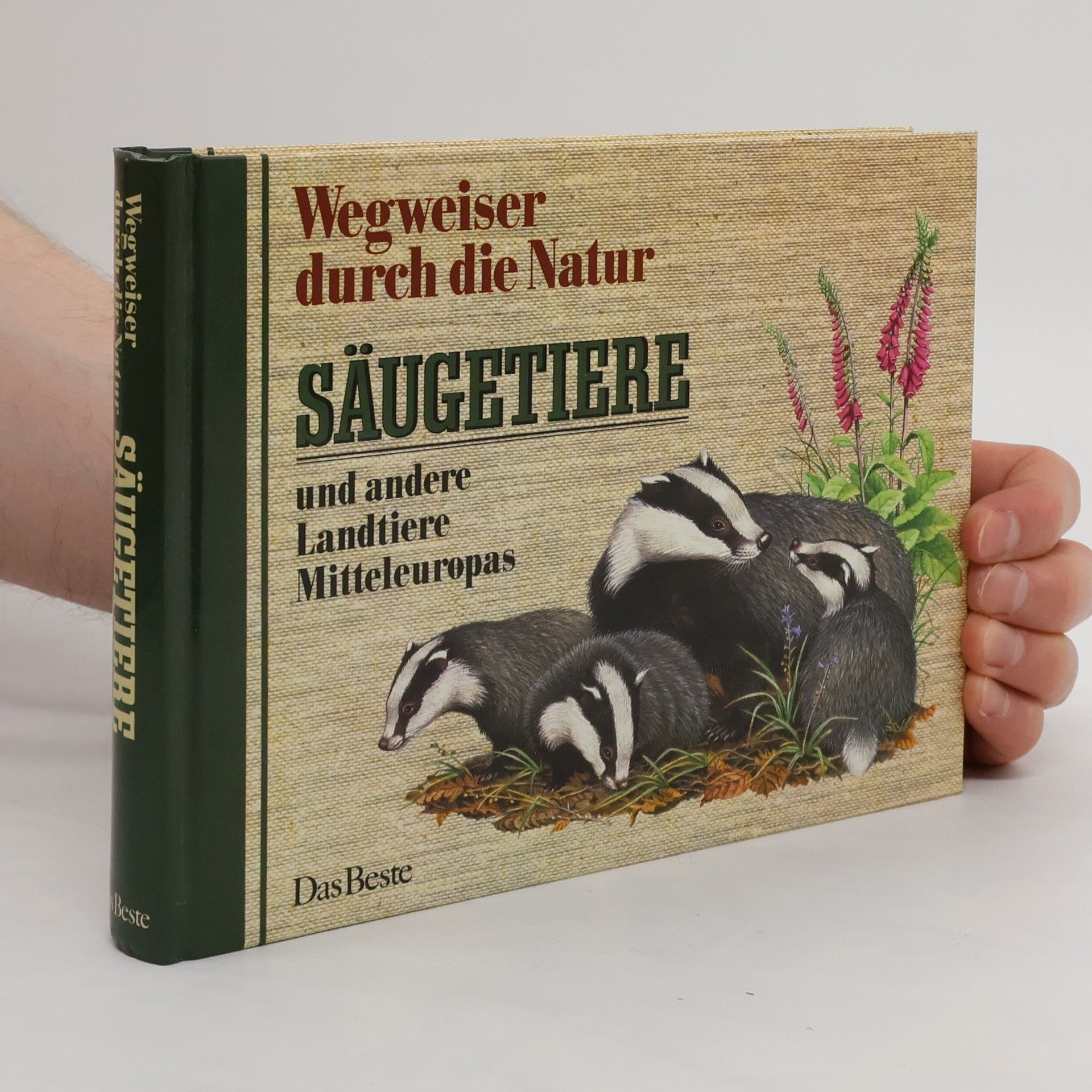 Friedrich Dieterlen Wegweiser durch die Natur. Säugetiere und andere Landtiere Mitteleuropas