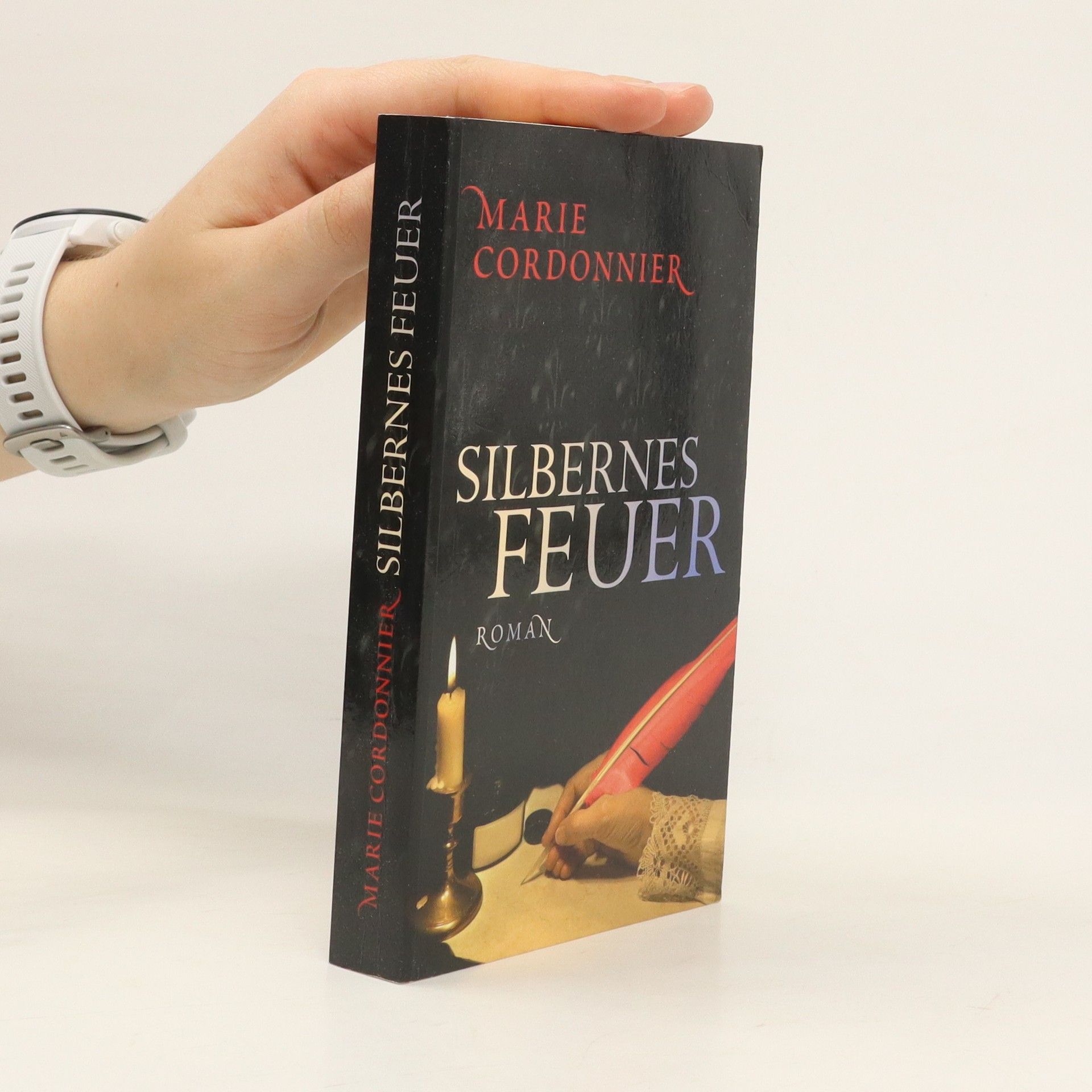 Marie Cordonnier Silbernes Feuer. Roman