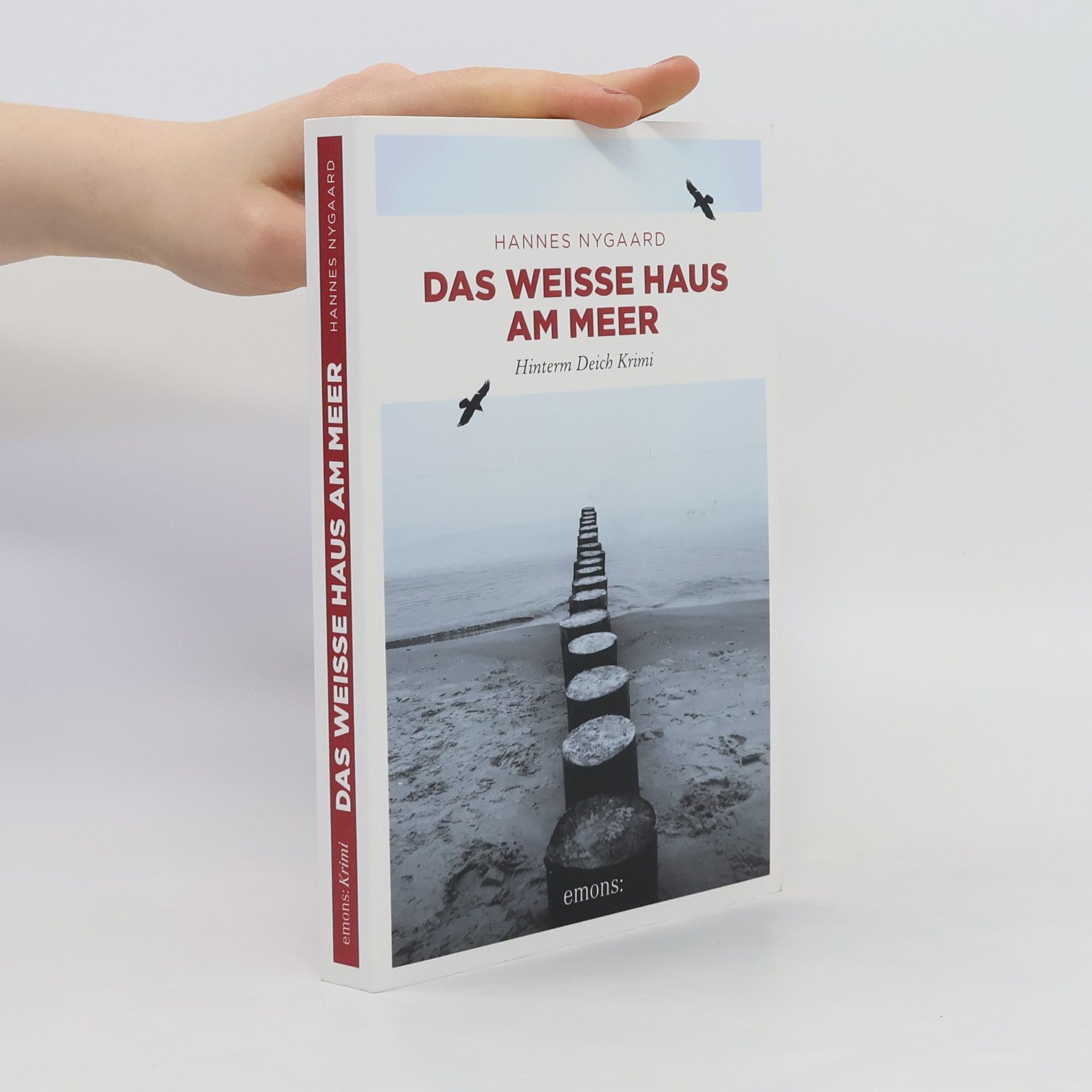 Hannes Nygaard Das Weiße Haus am Meer