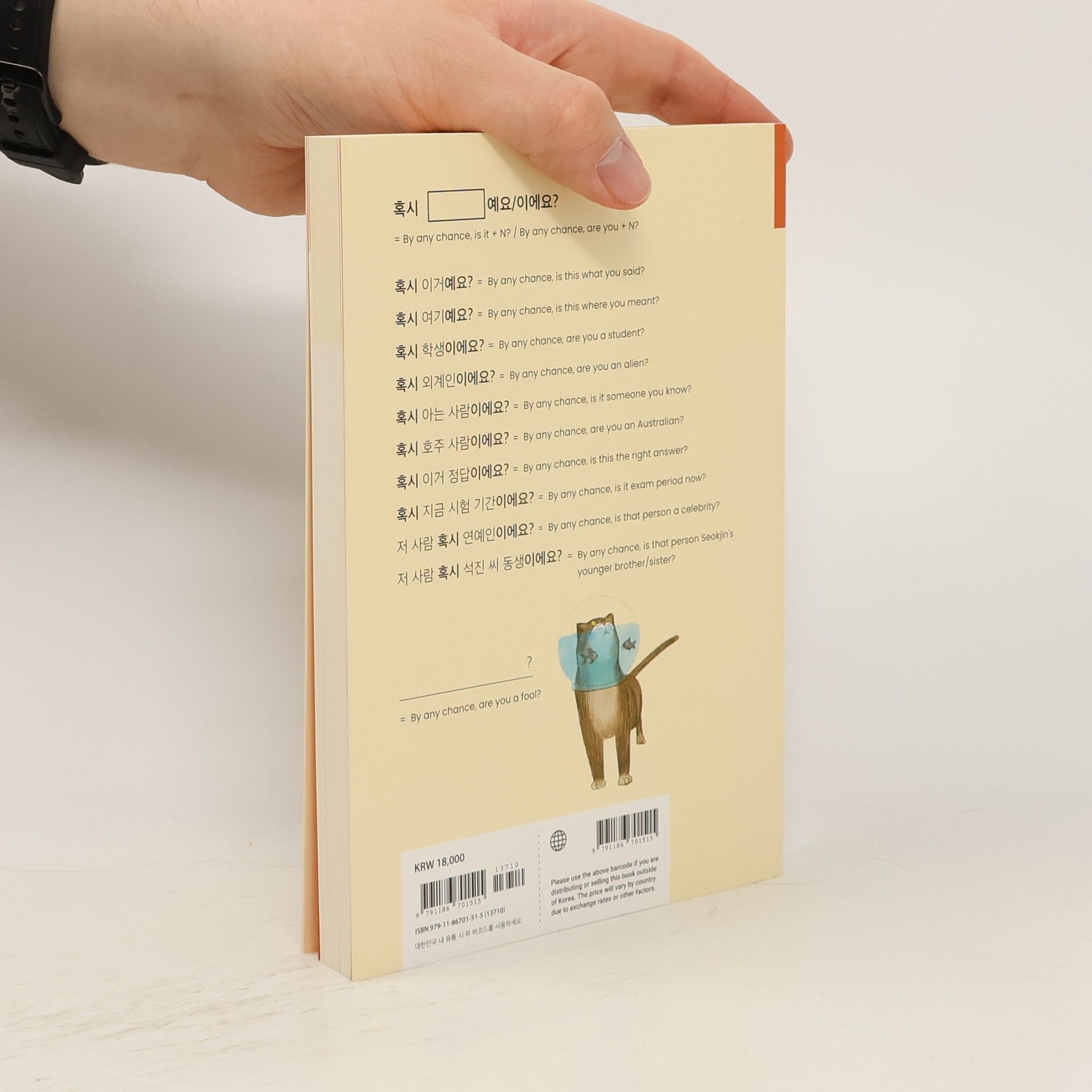 Collectif d'auteurs 1100 Short & Useful Korean Phrases for Beginners