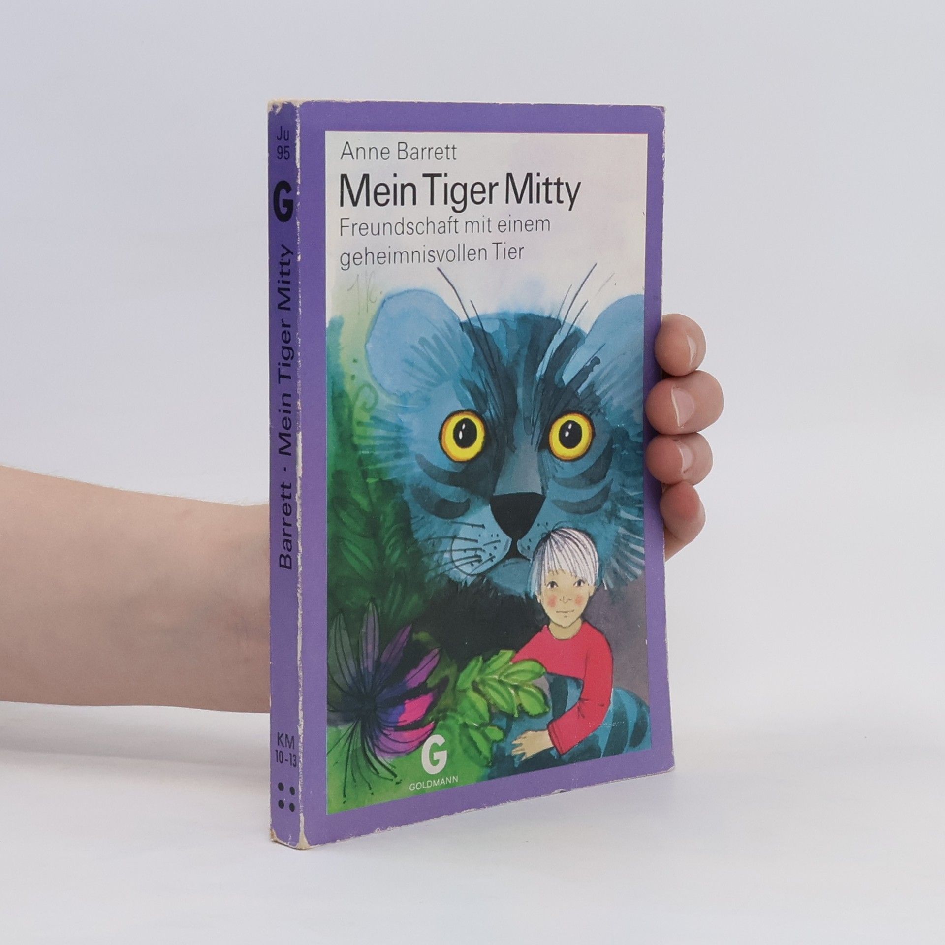 Anne Barrett Mein Tiger Mitty