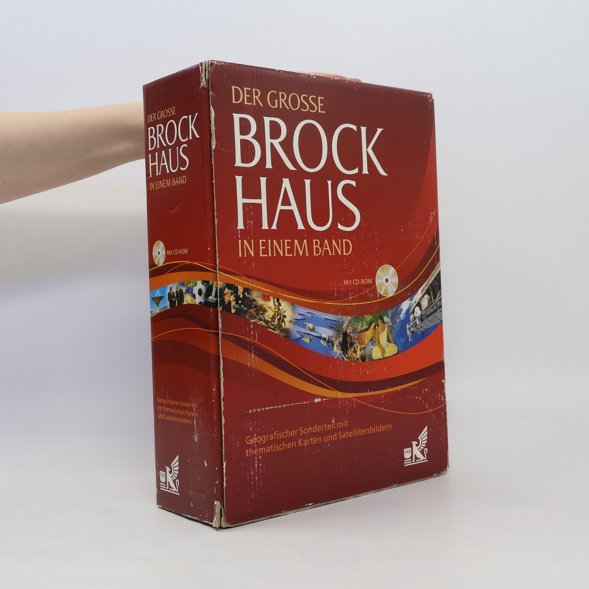 Ute Rosner Der große Brockhaus in einem Band