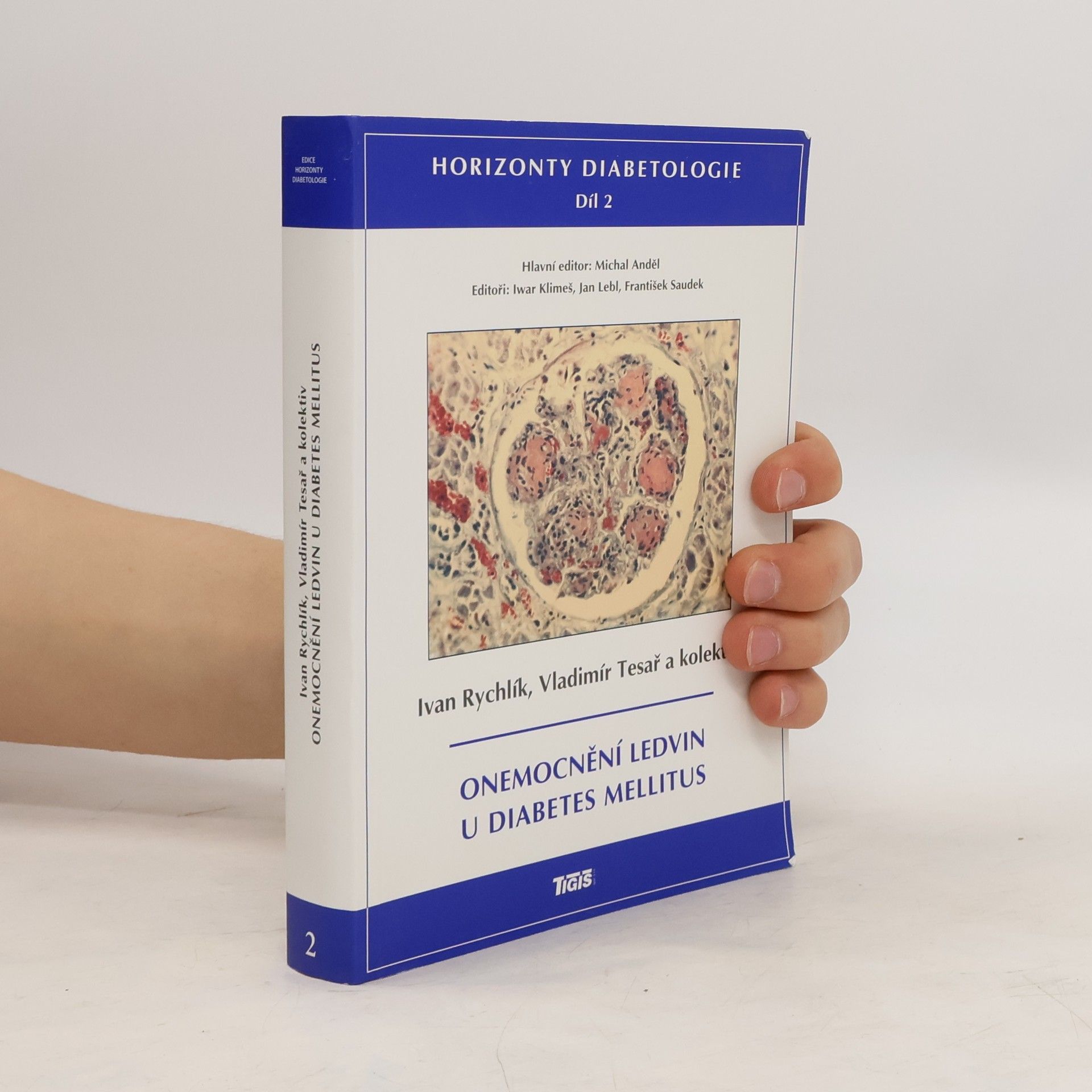 Ivan Rychlík Onemocnění ledvin u diabetes mellitus. Horizonty diabetologie. 2. díl