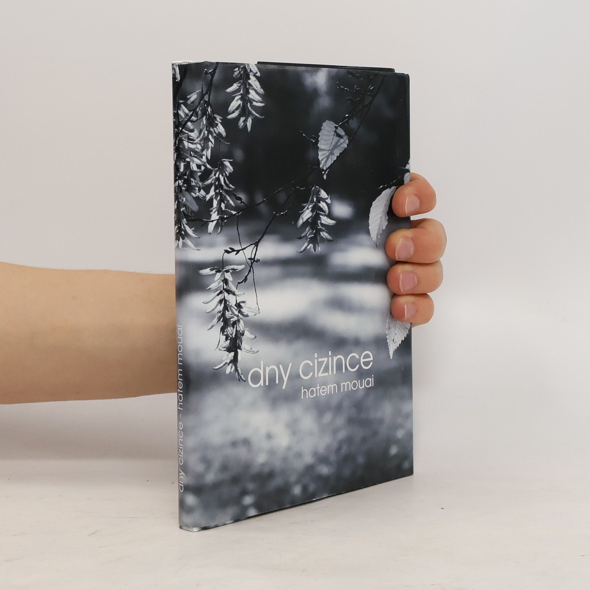 Hatem Mouai Dny cizince