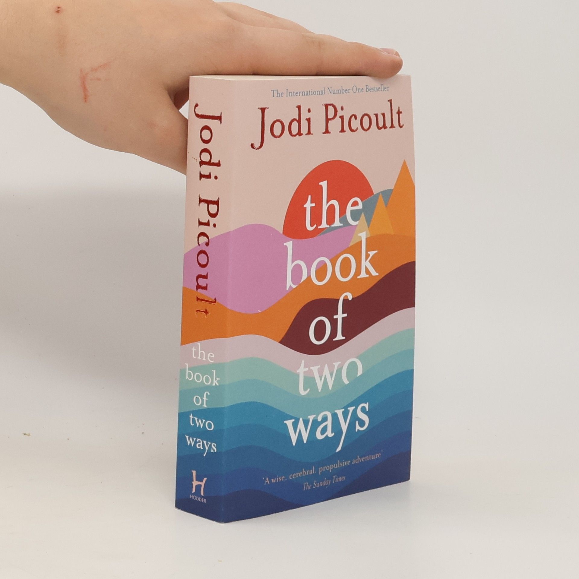 Jodi Picoult The Book of Two Ways