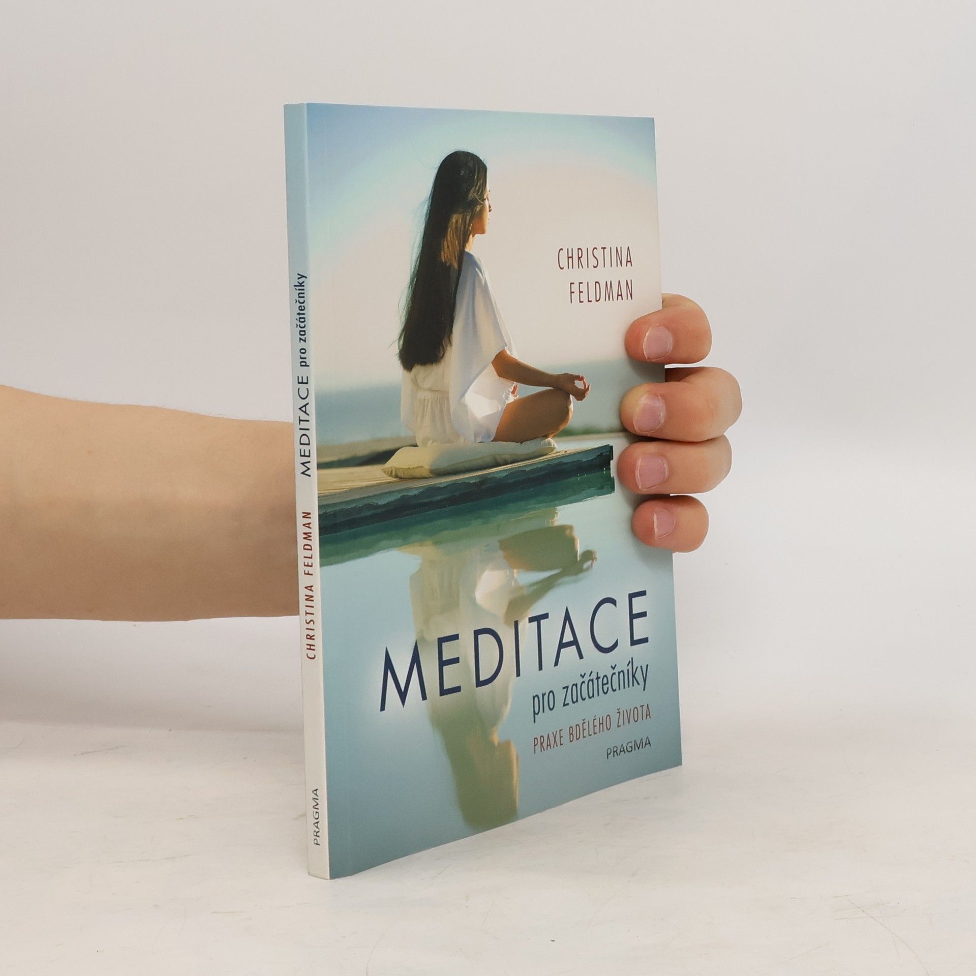 Christina Feldman Meditace pro začátečníky. Praxe bdělého života