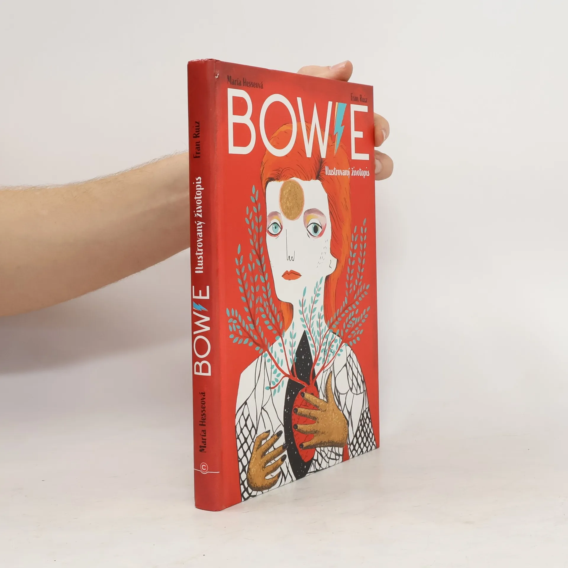 Bowie: Ilustrovaný životopis | Kniha | pevná | Mari a. Hesse | CS