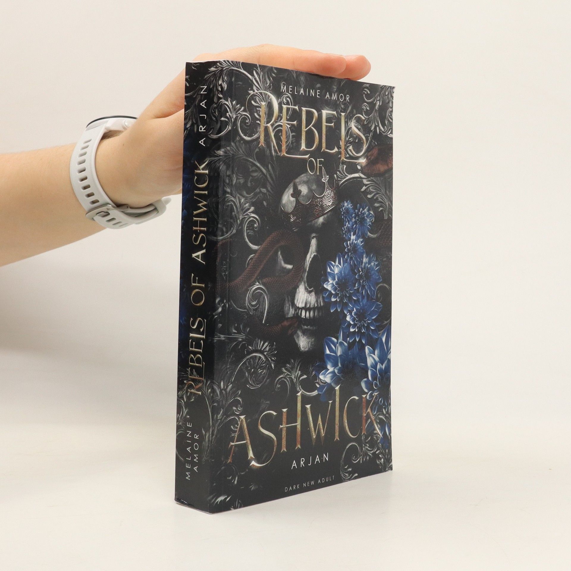 Melaine Amor Rebels of Ashwick. Arjan