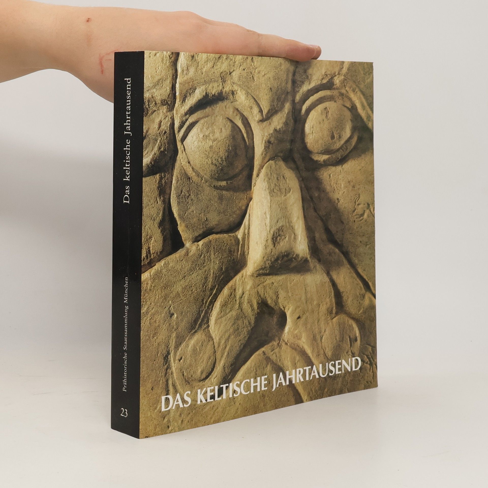 Rupert Gebhard Das keltische Jahrtausend