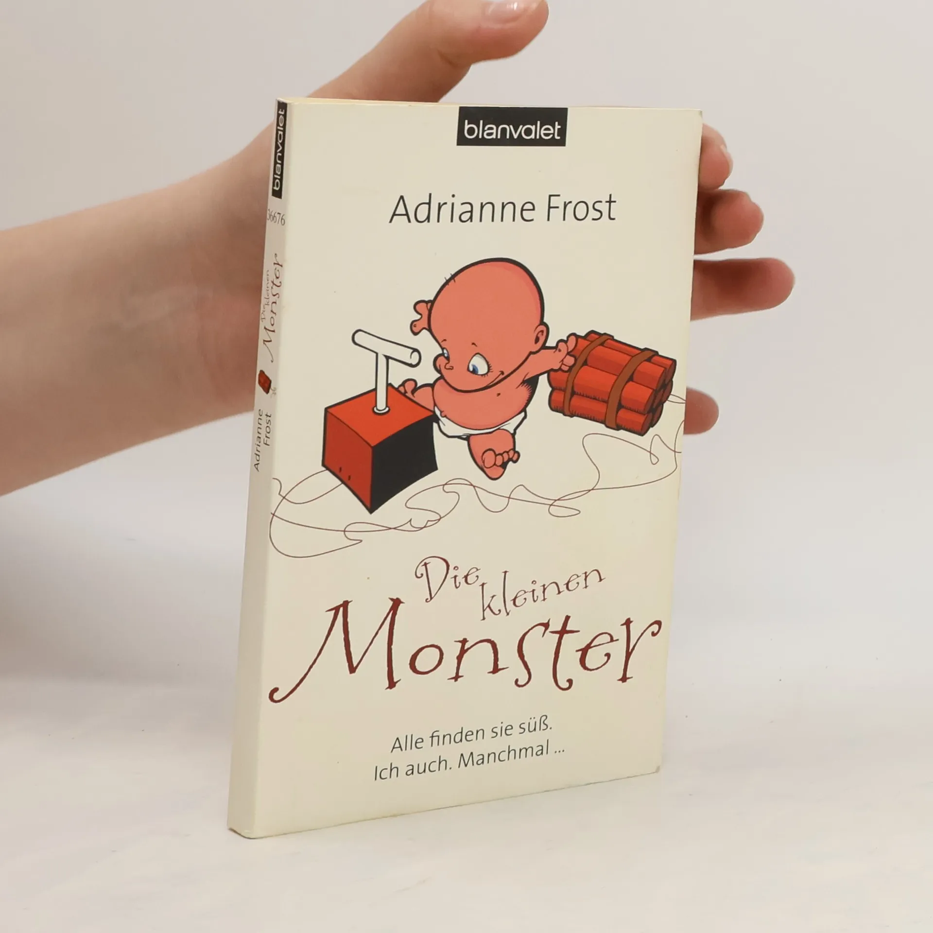 Die kleinen Monster | Kniha | Adrianne Frost | DE