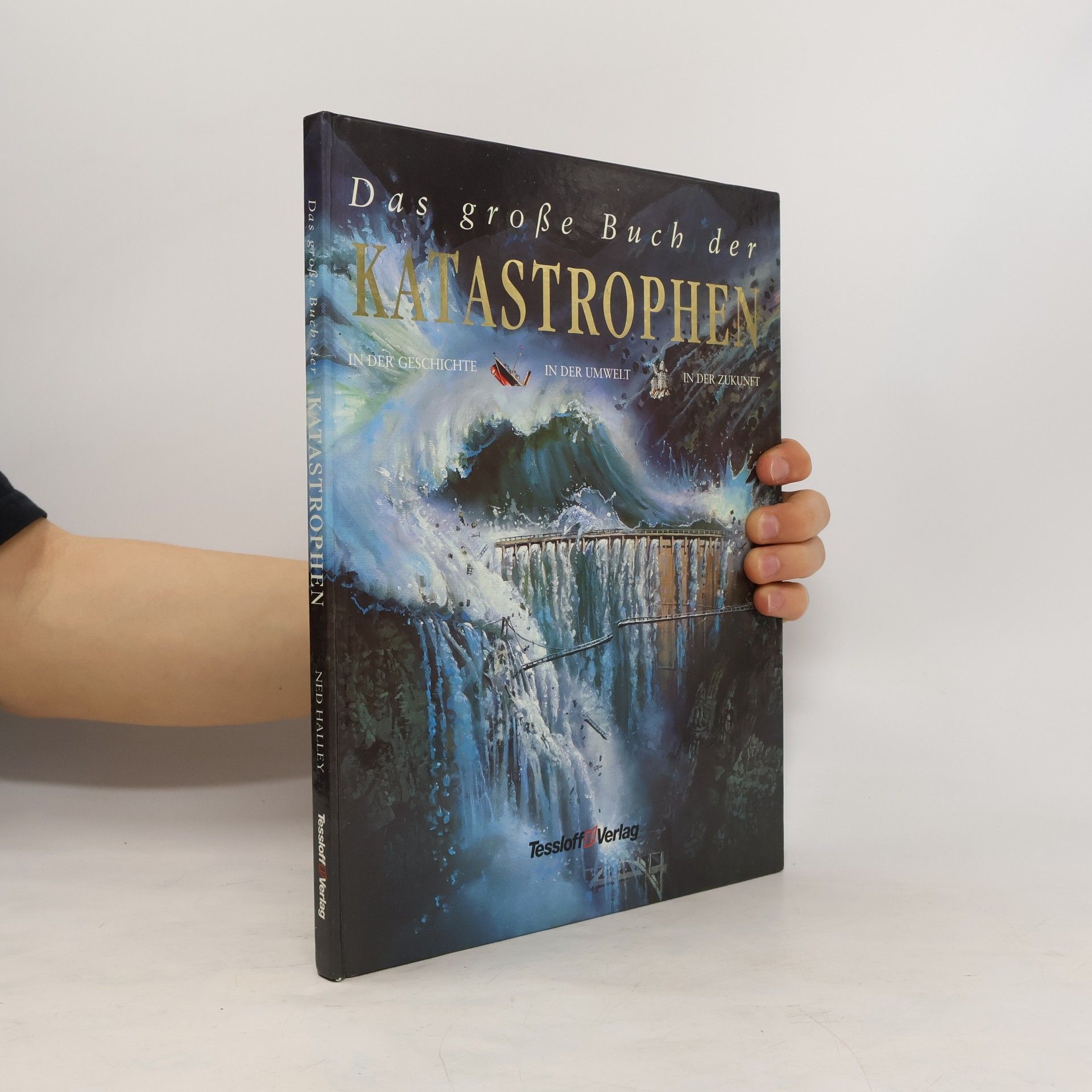 Ned Halley Das große Buch der Katastrophen