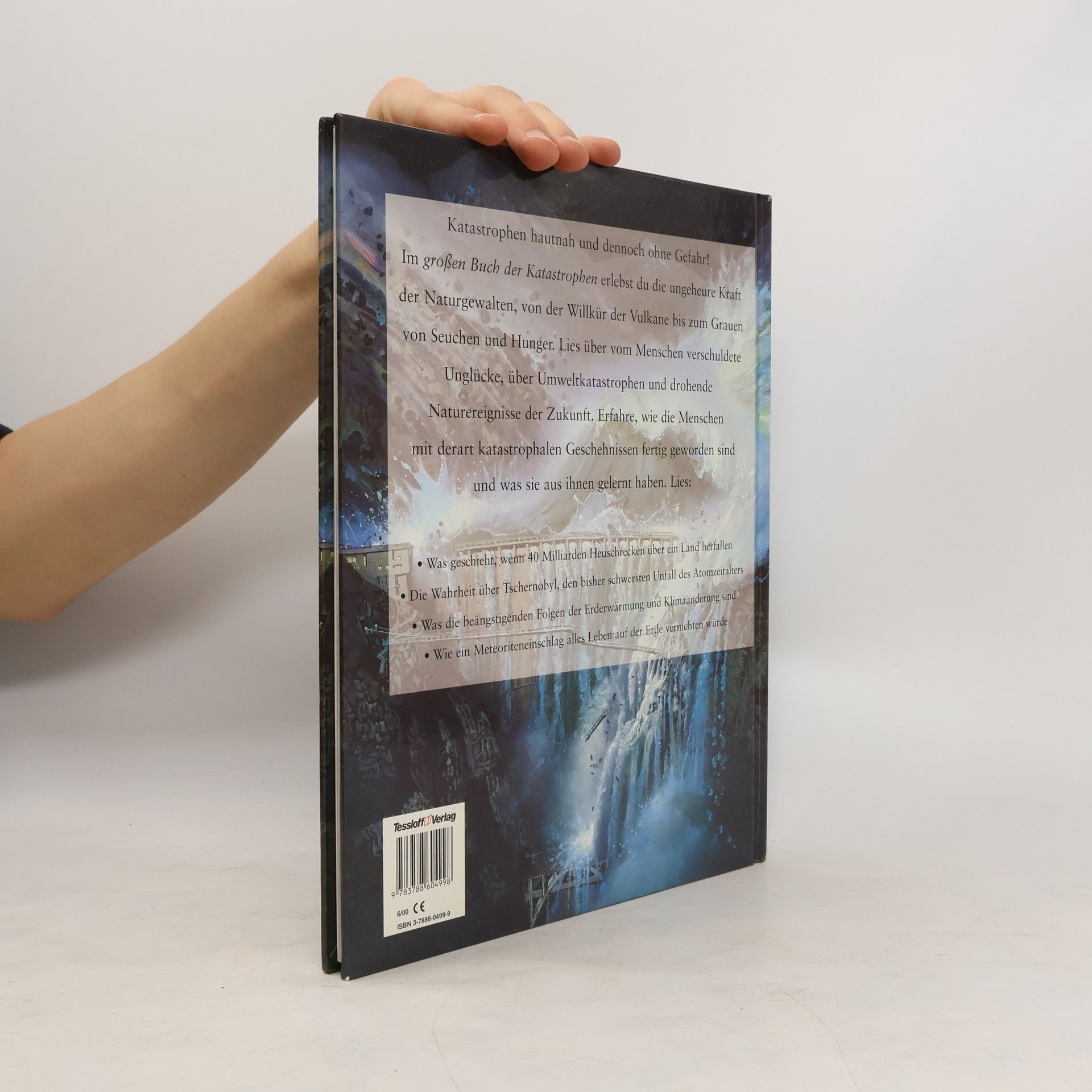 Ned Halley Das große Buch der Katastrophen