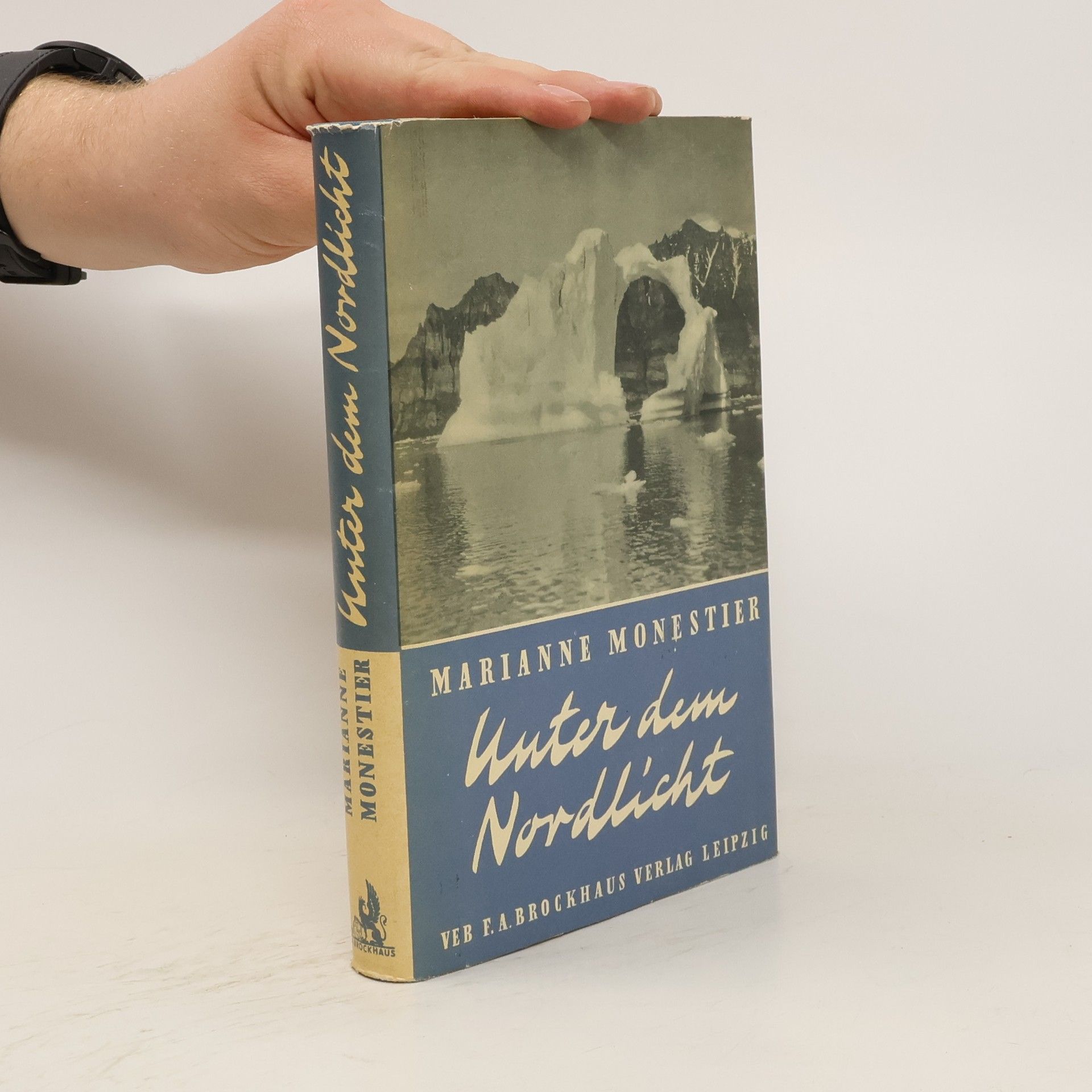 Marianne Monestier Unter dem Nordlicht