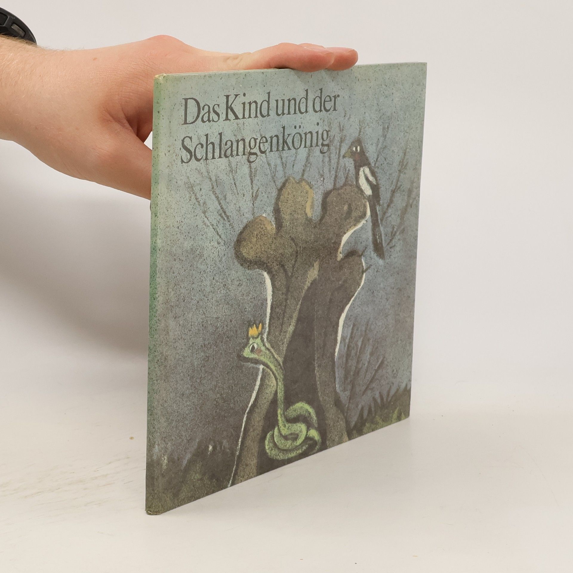 Collectif d'auteurs Das Kind und der Schlangenkönig