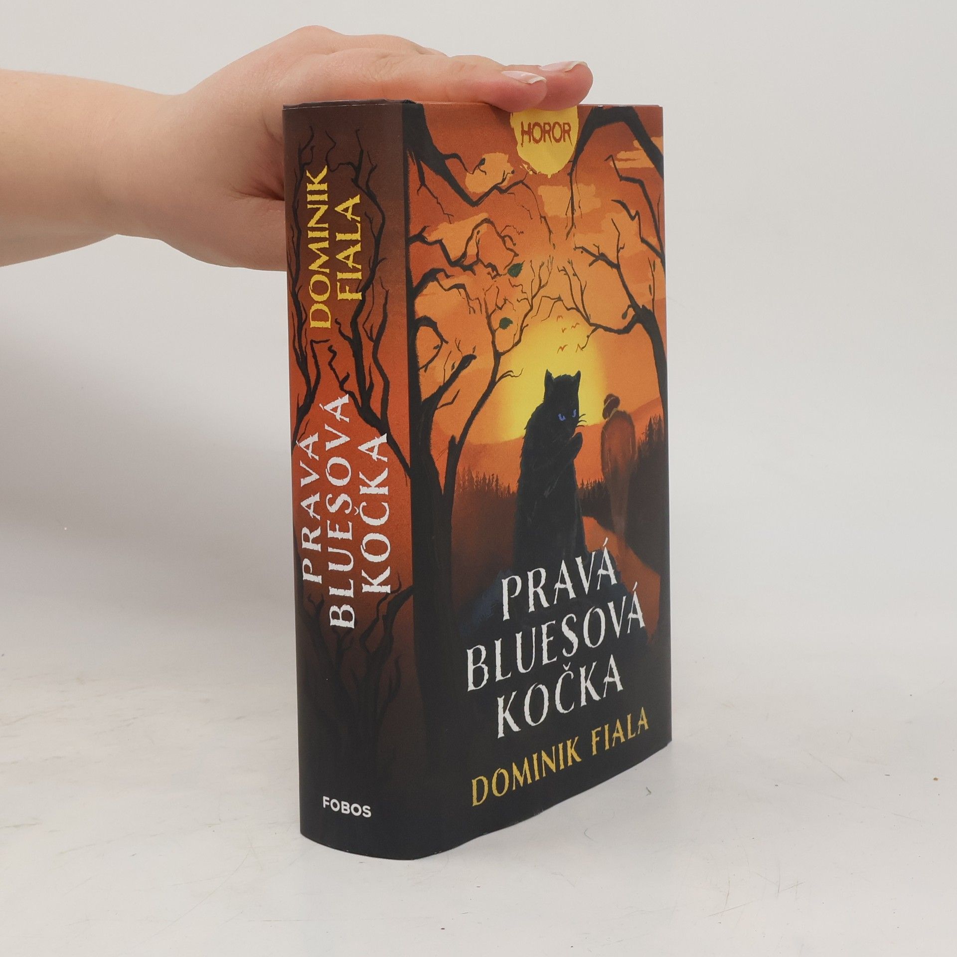 Dominik Fiala Pravá bluesová kočka