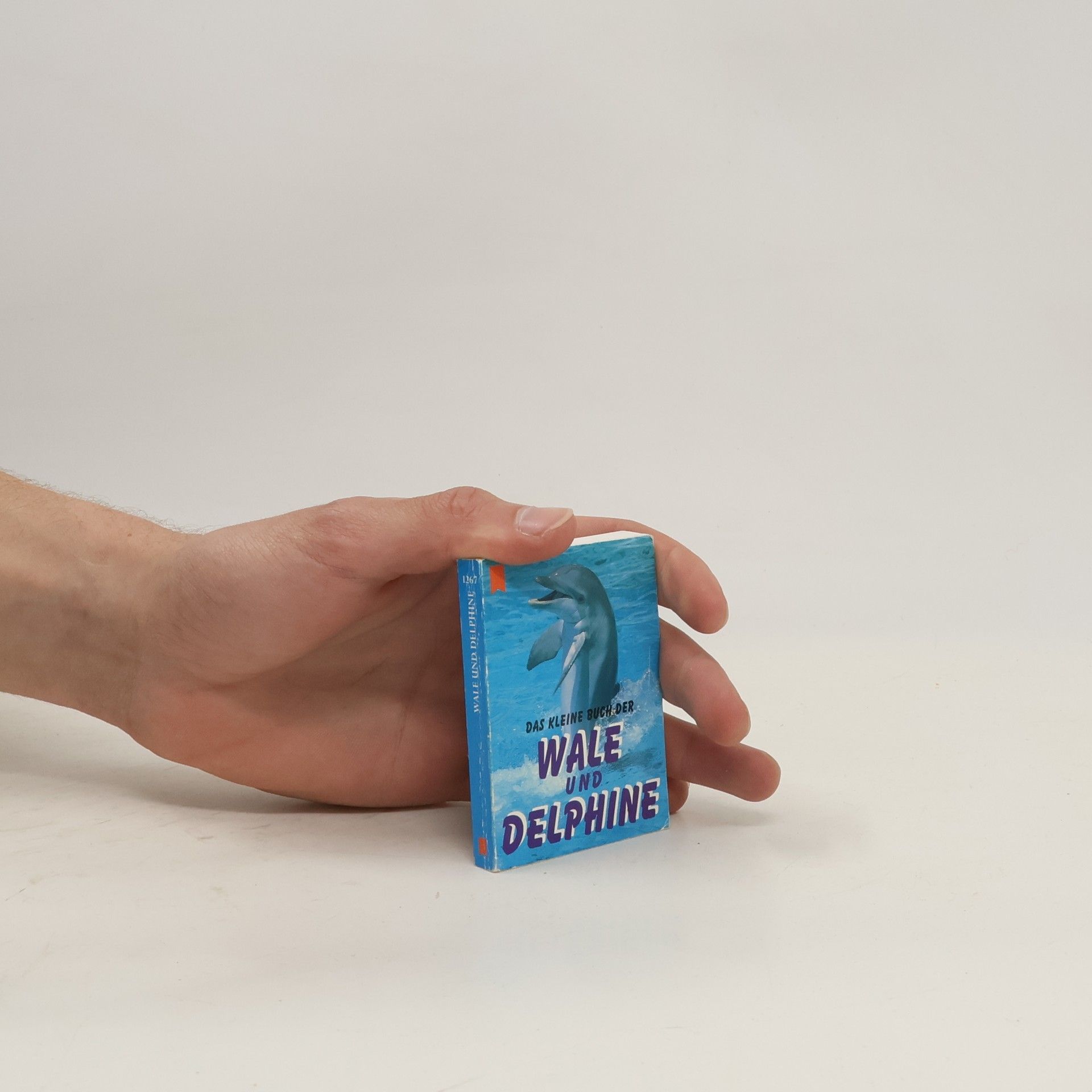 Autorenkollektiv Wale und Delphine
