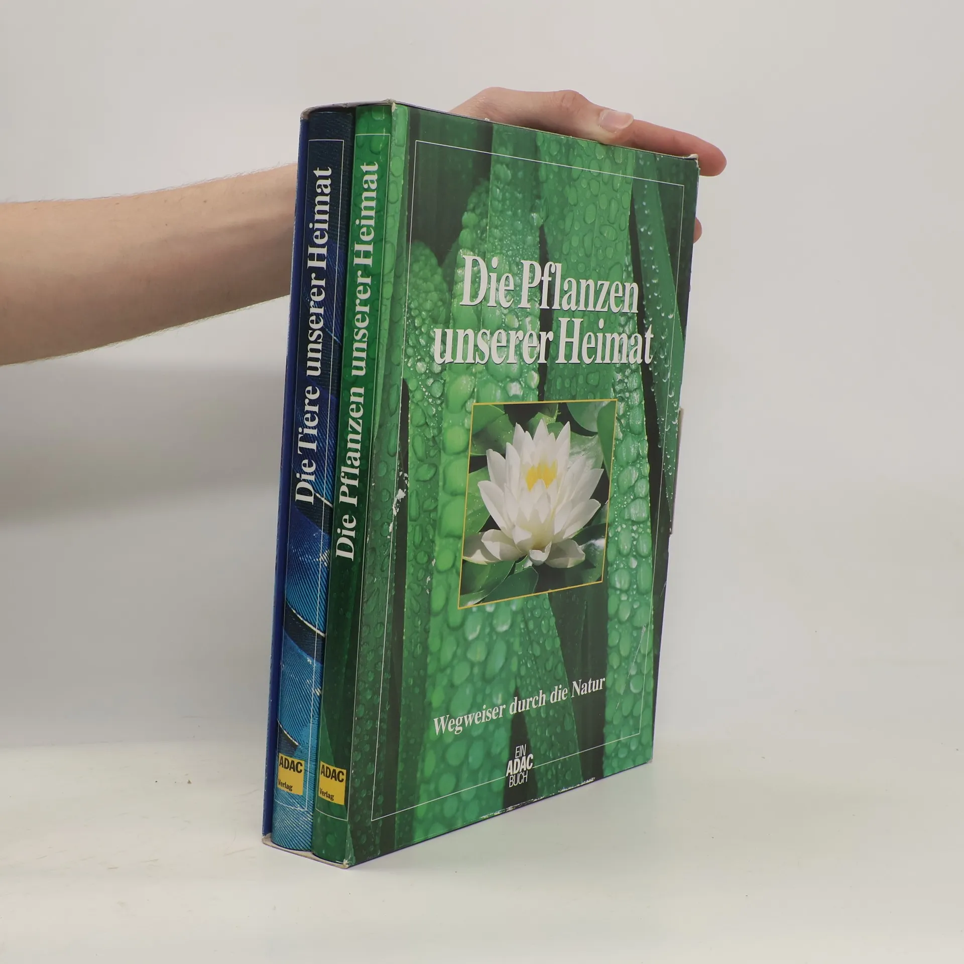 Die Tiere unserer Heimat. Wegweiser durch die Natur | Buch | Hardcover | Gunter Steinbach