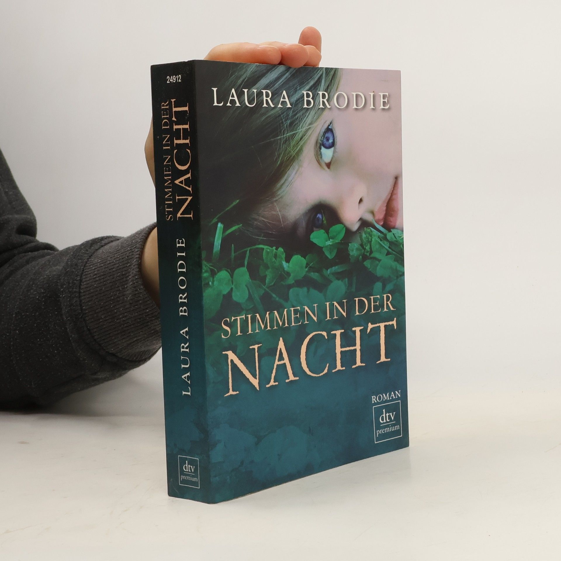 Laura Fairchild Brodie Stimmen in der Nacht