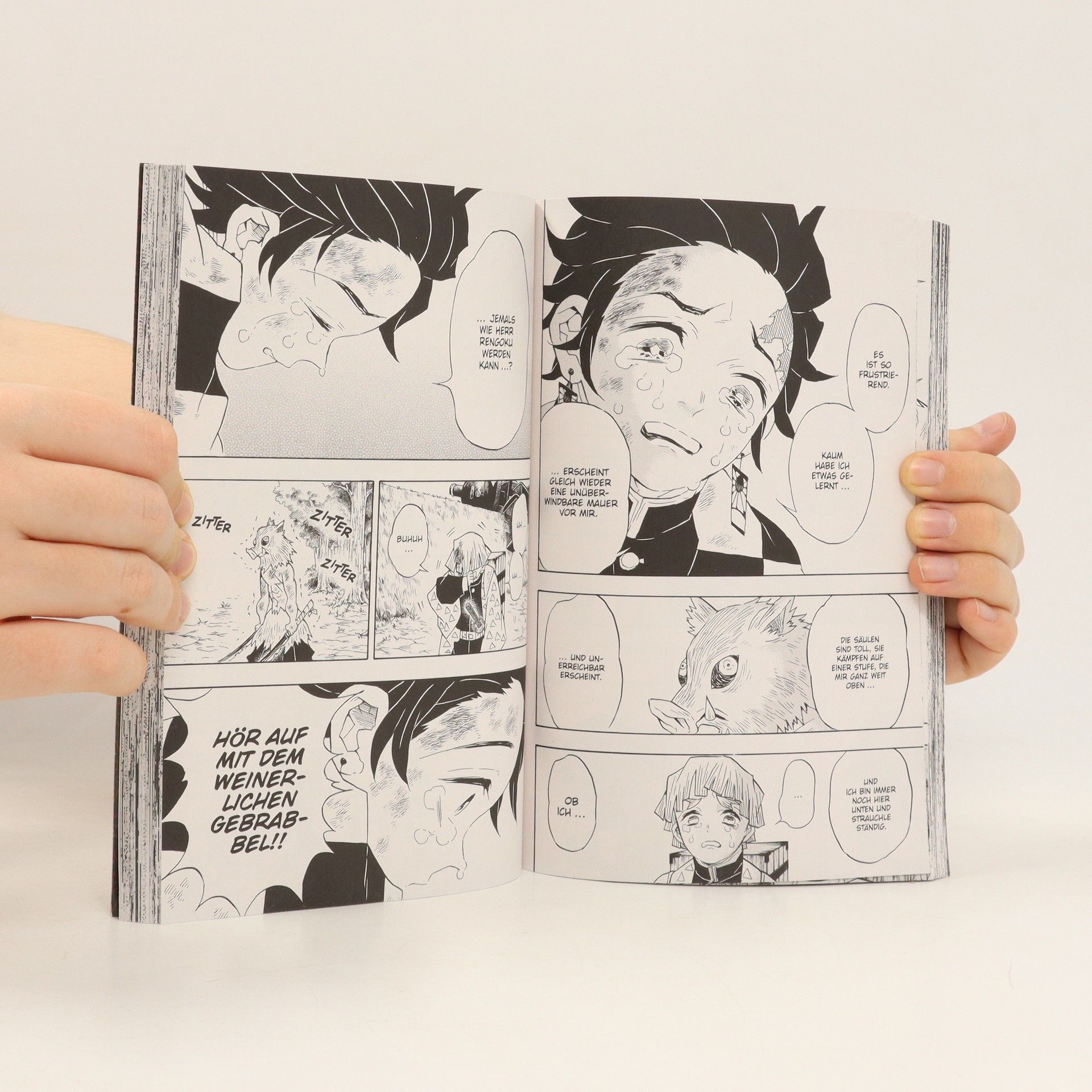 Koyoharu Gotōge Demon Slayer 8
